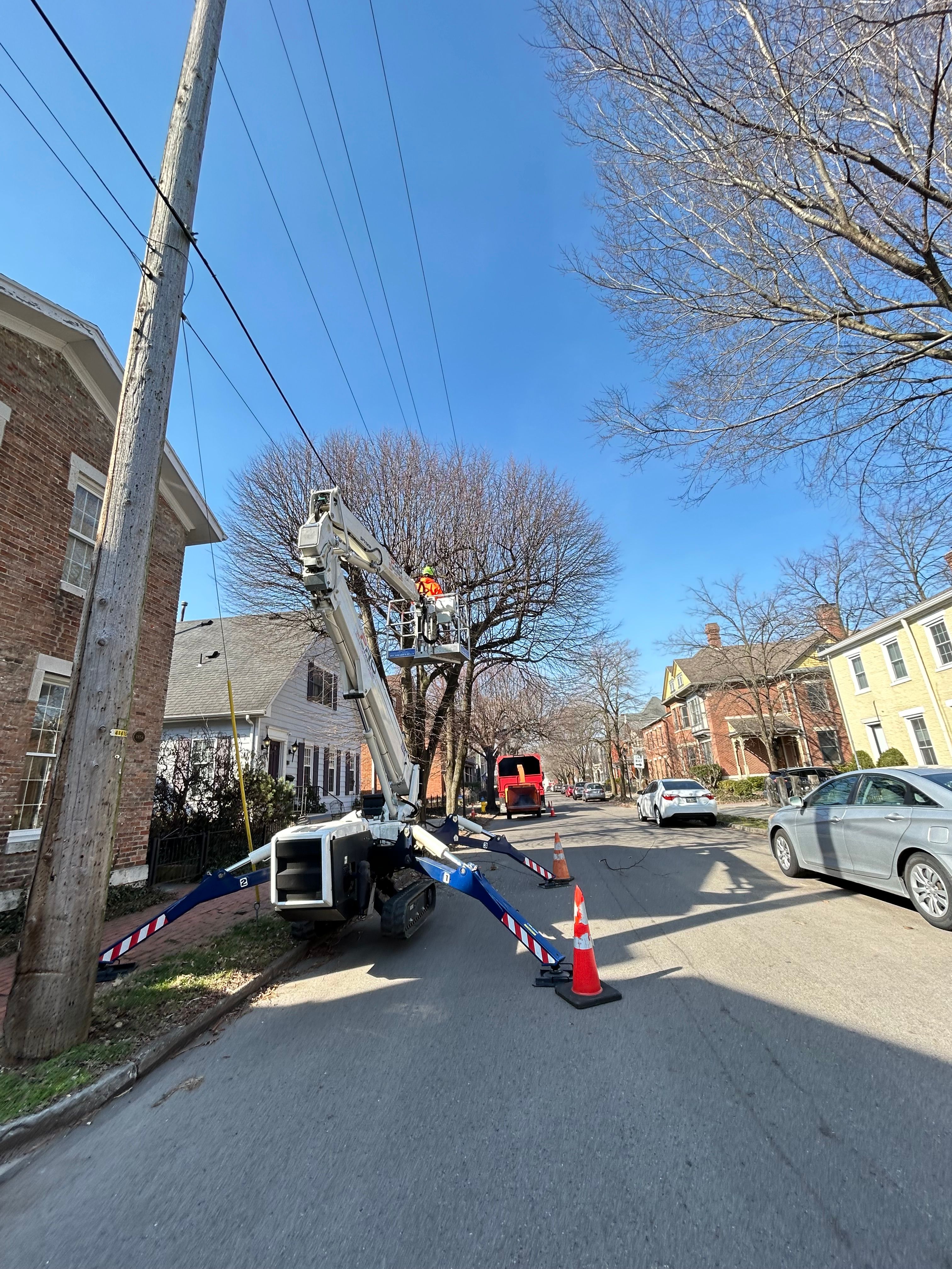 All Photos for Pro Tree Trim & Removal, Llc in Dayton, OH