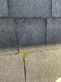 All Photos for Primetime Roofing & Contracting in Winchester, KY
