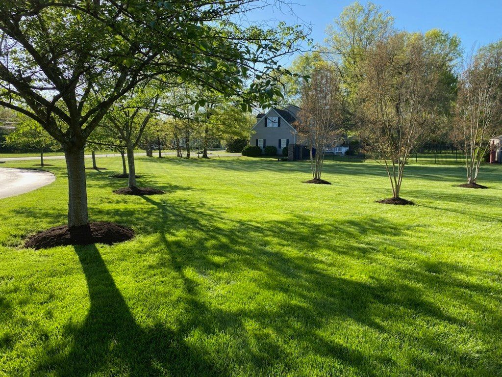  for Clean Cut Lawns & Landscaping in Dickerson, MD
