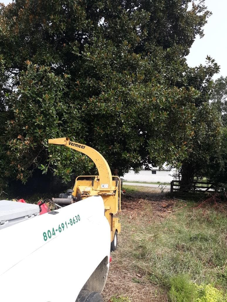  for Country Cutters Tree Service in Prince George, VA