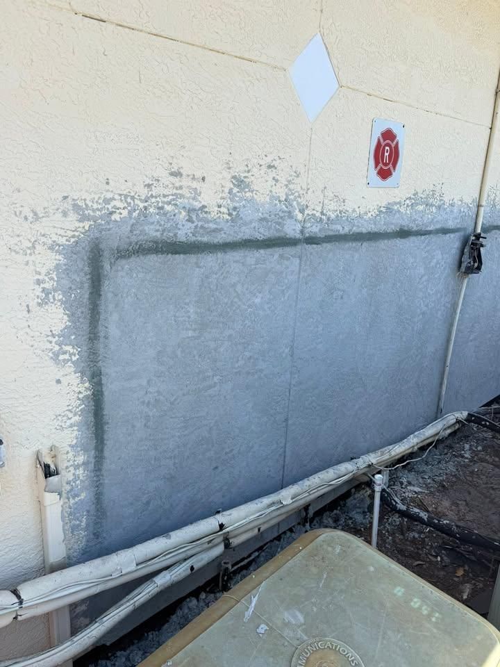  for Escorpio Painting in Tampa, FL