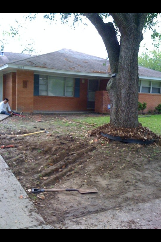  for Texas Curb N Borders in Houston, TX