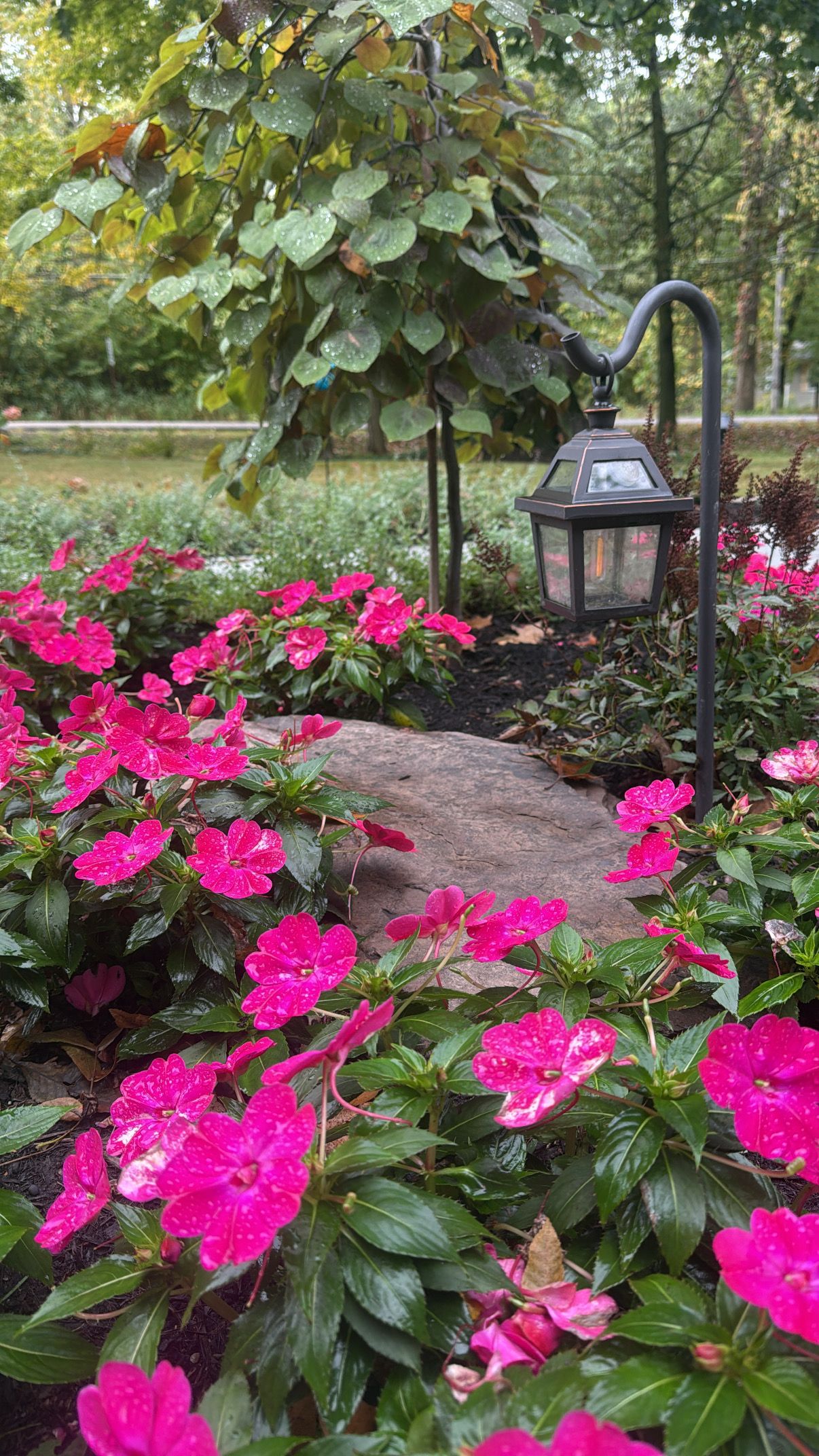 Softscaping for Hillside Landscape & Design in Chesterland, OH