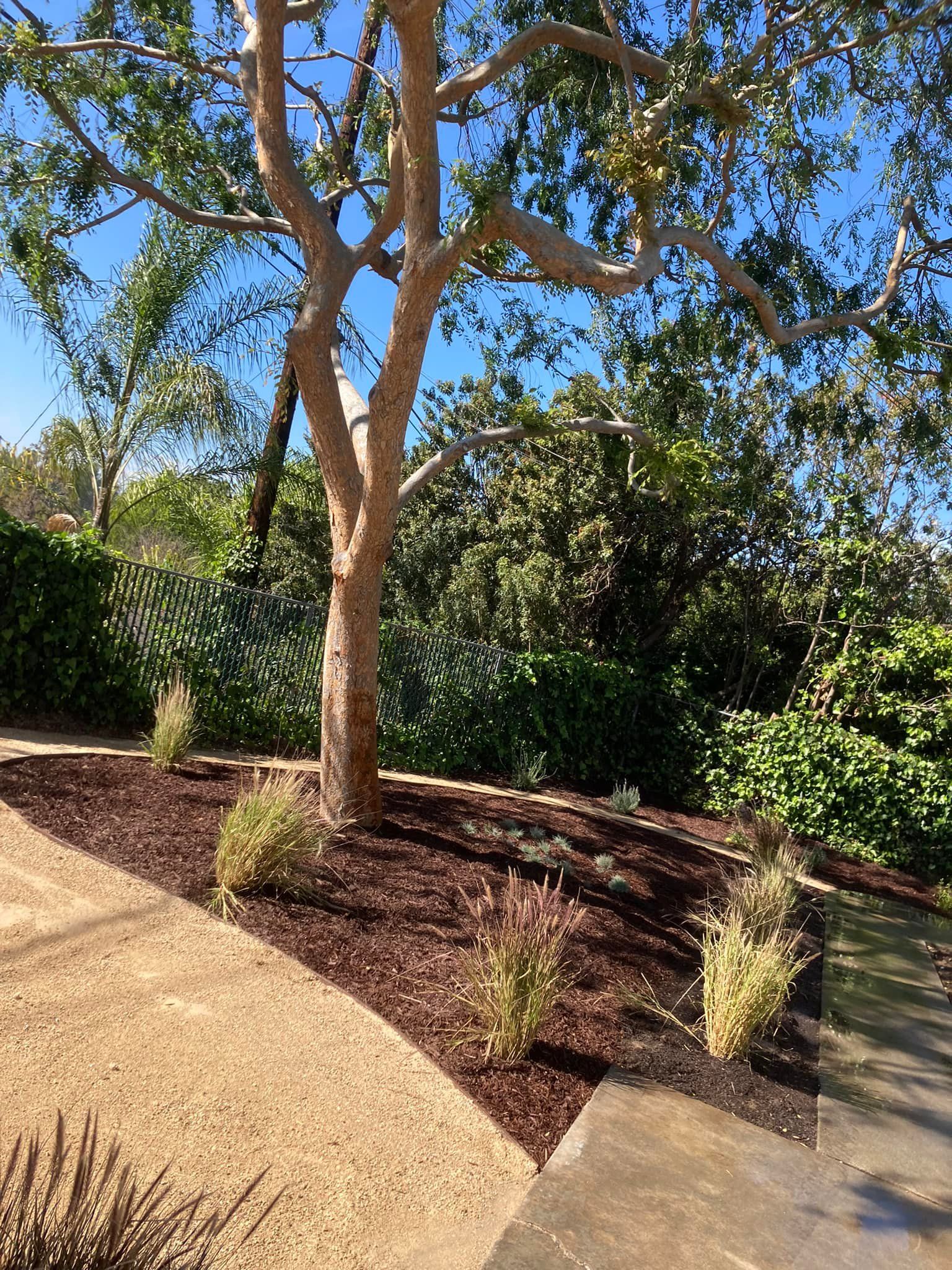  for Green Planet Services in La Habra Heights, CA