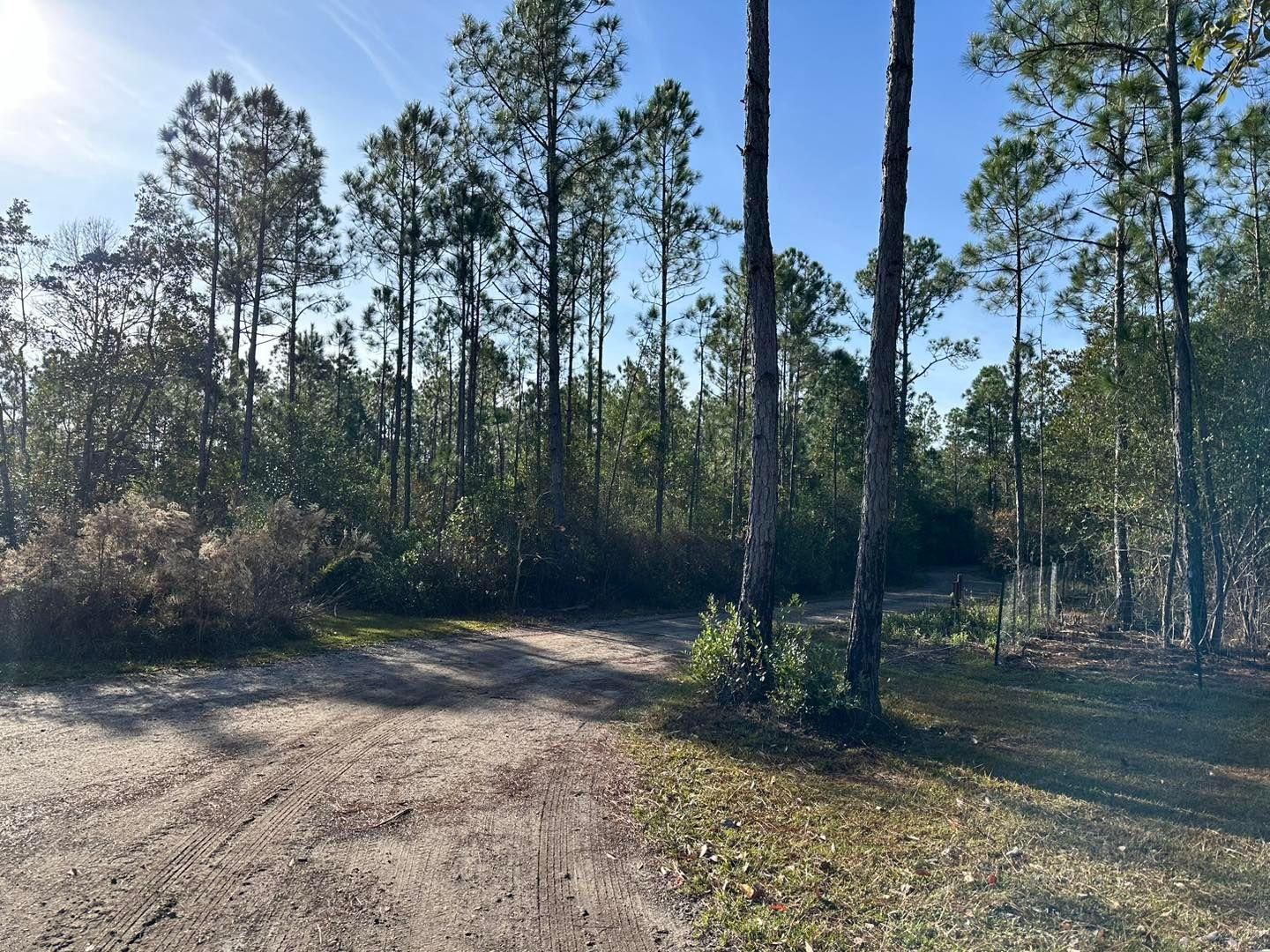 All Photos for White’s Land Maintenance in Milton,, FL