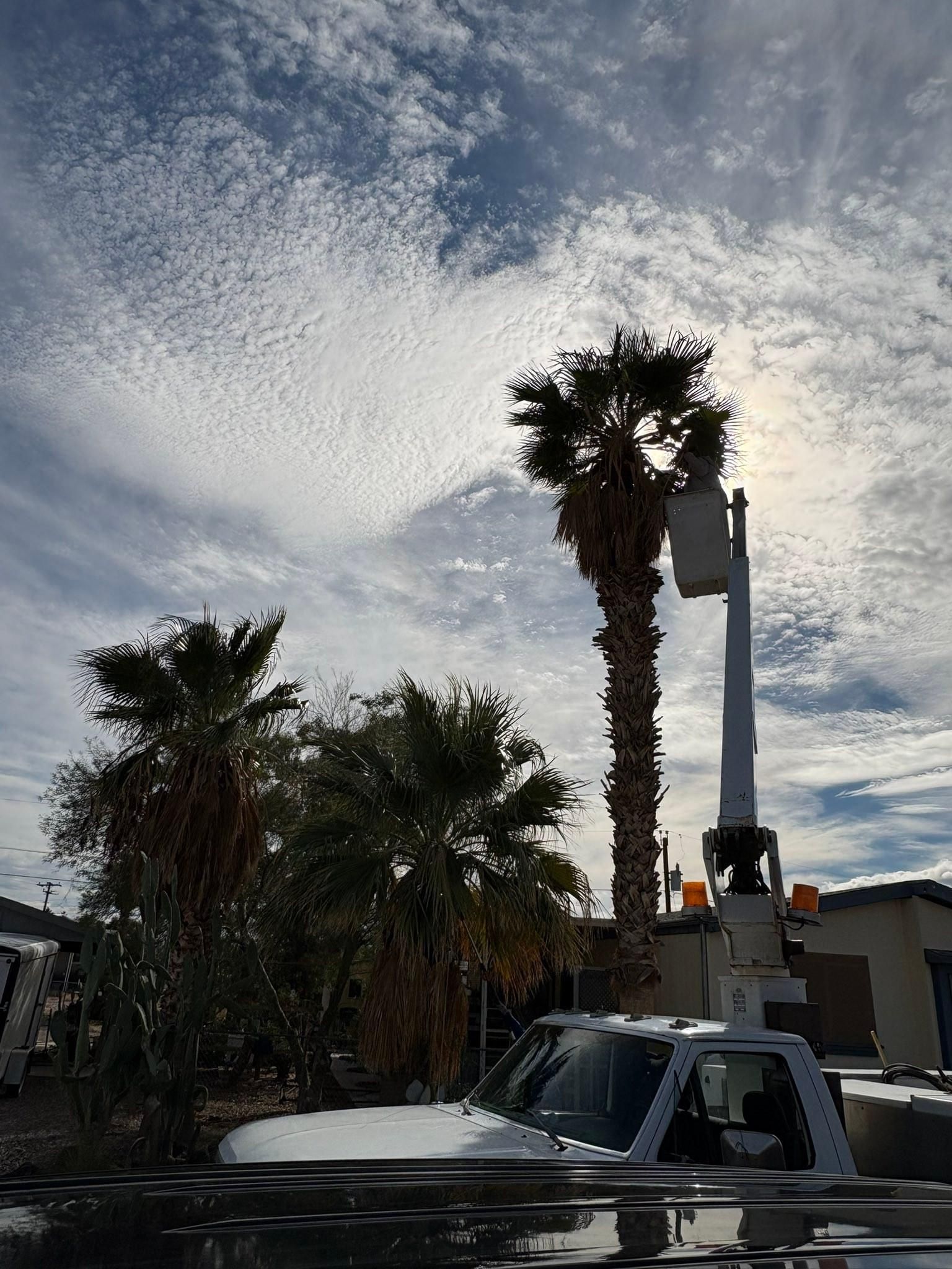  for Top Notch Landscape Services LLC in Mohave Valley, AZ