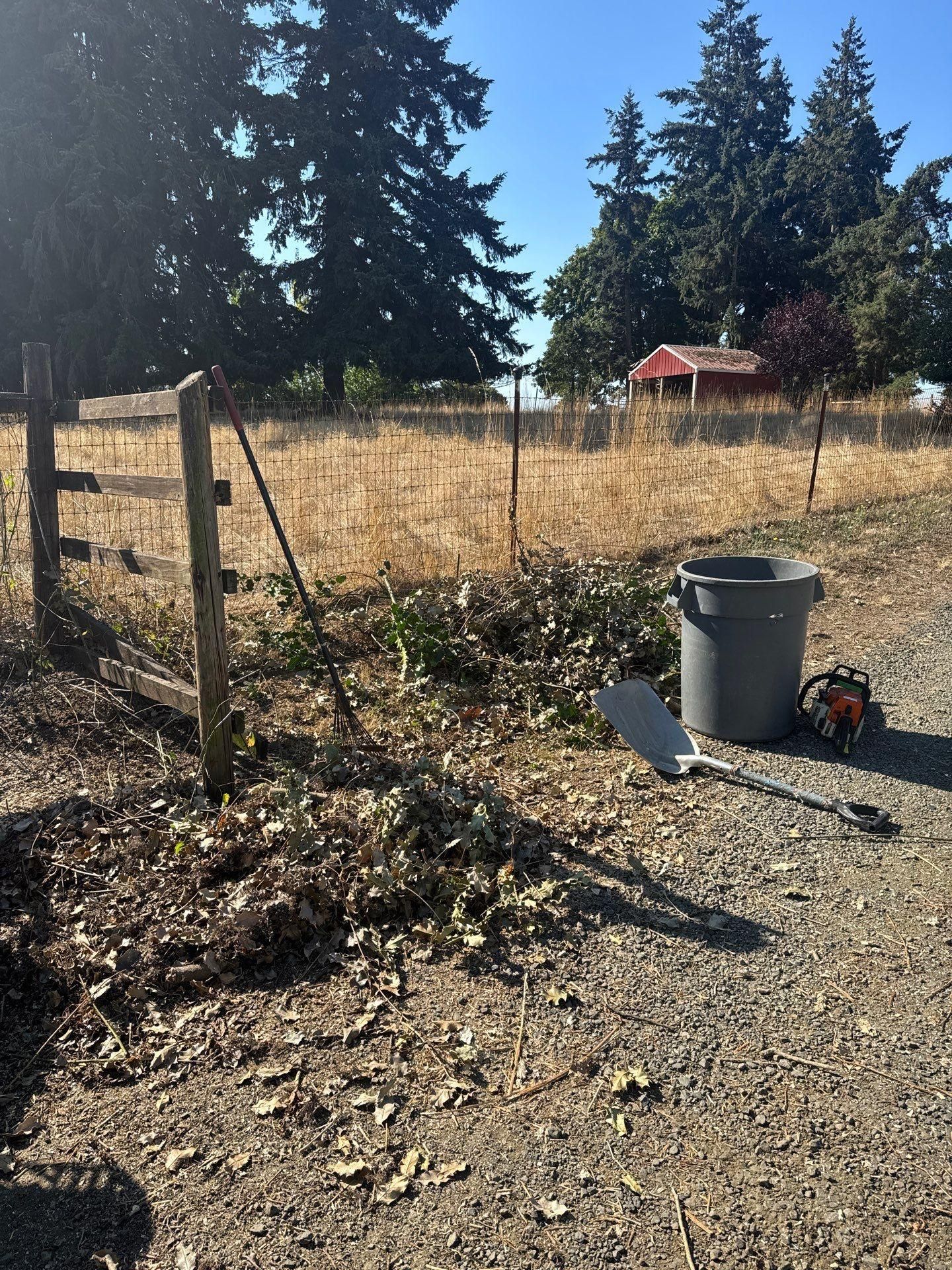 for Willamette Landscaping and Tree Services in Albany, OR