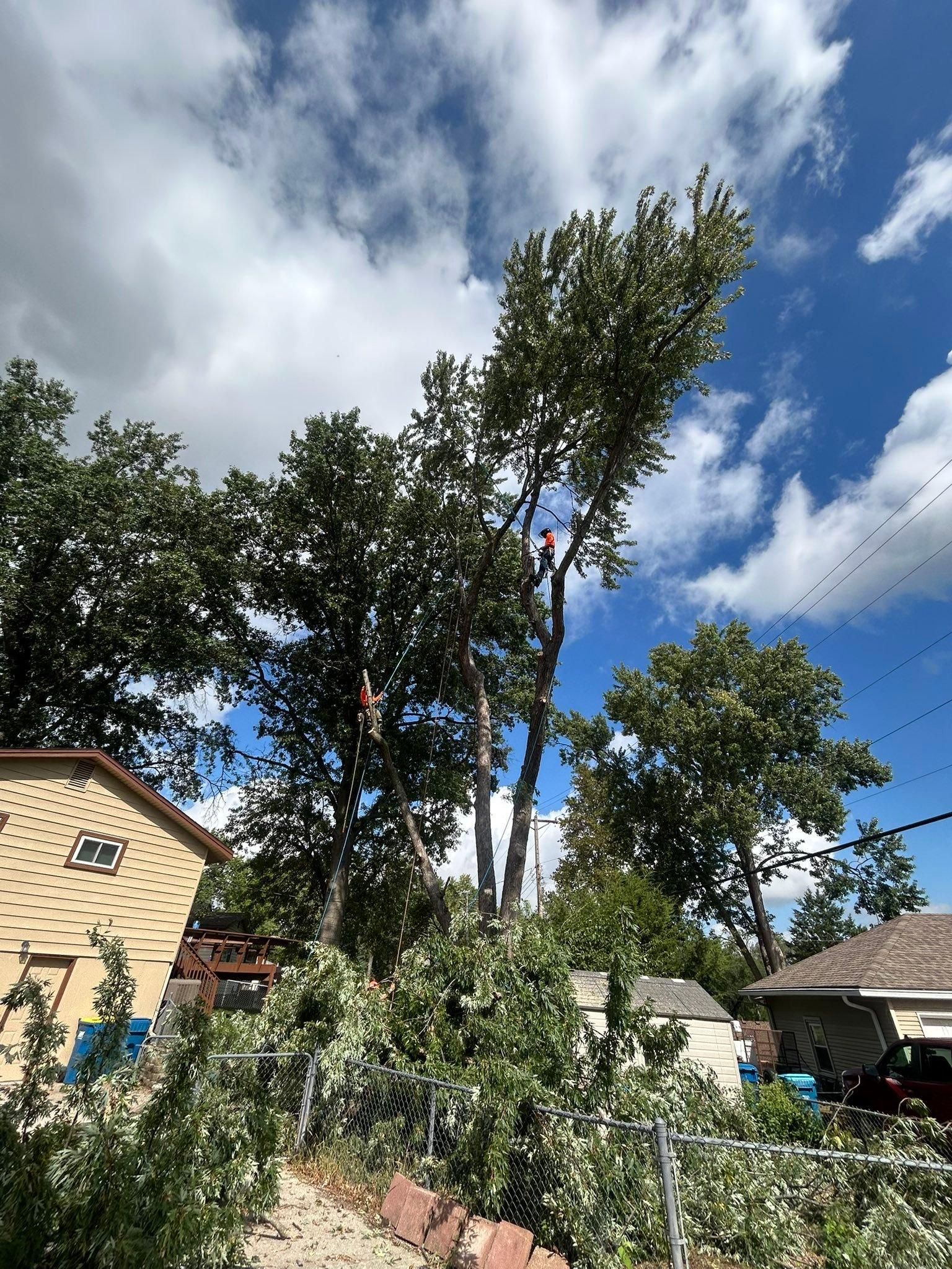 All Photos for Cross Family Tree Service in Kearney, MO