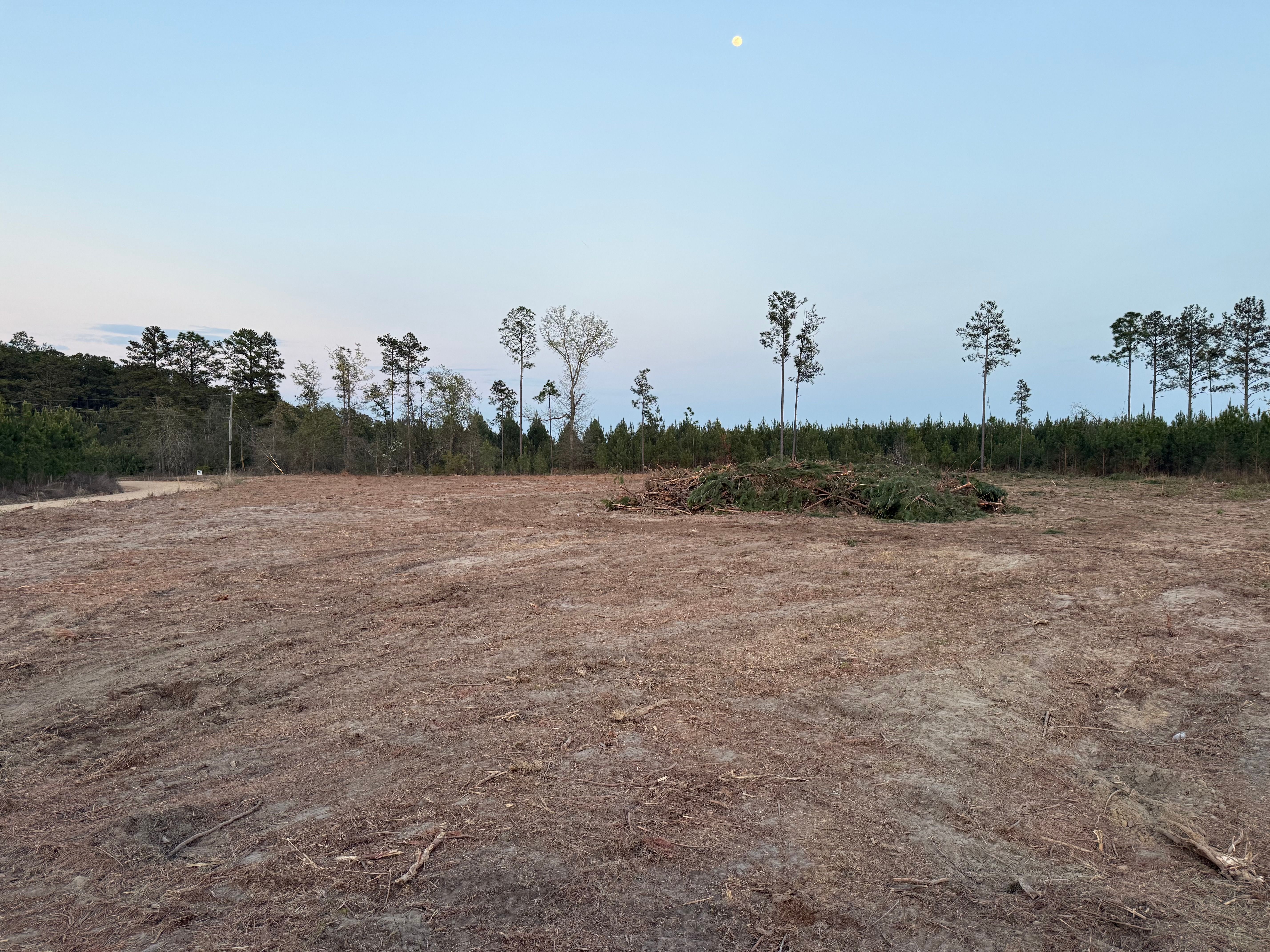  for T N L - Tree and Land Service in Reynolds, GA