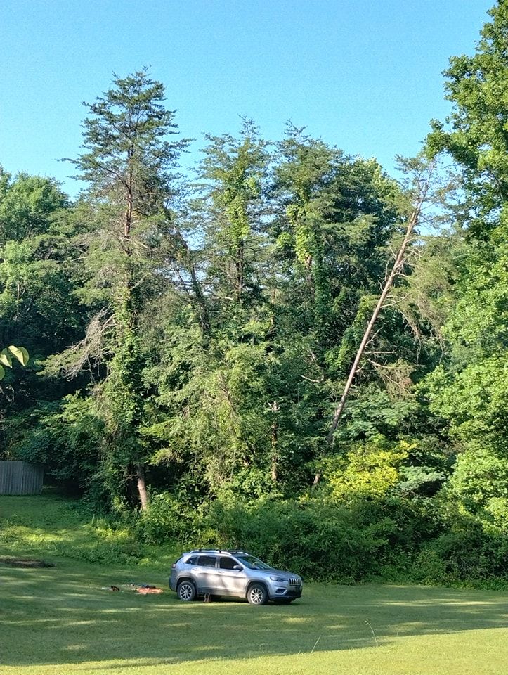  for Wade's Family Tree Service in Townsend, TN