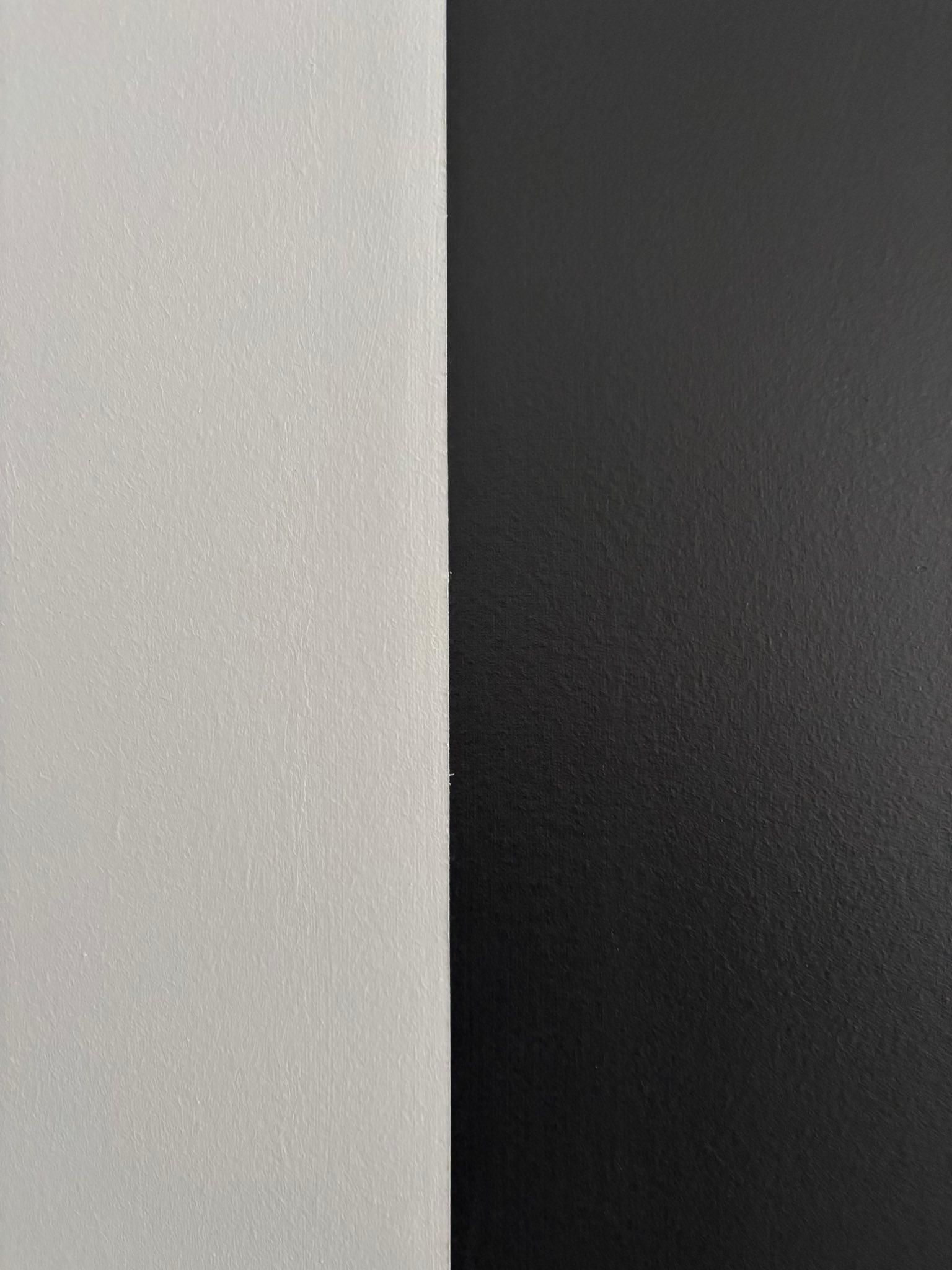  for Carolina Brush in Greenwood, SC