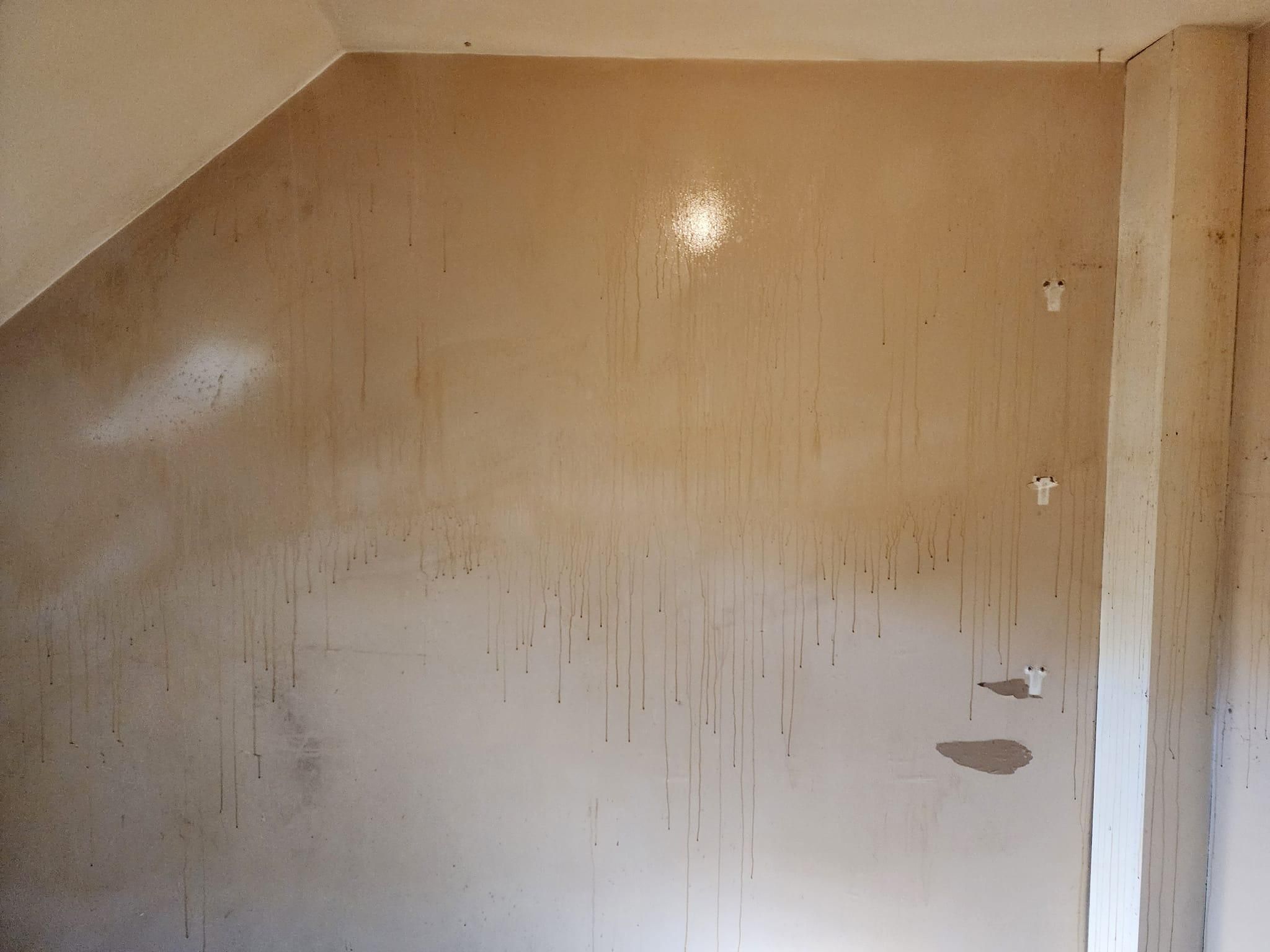  for The Hammer Man Can in Alton, NH