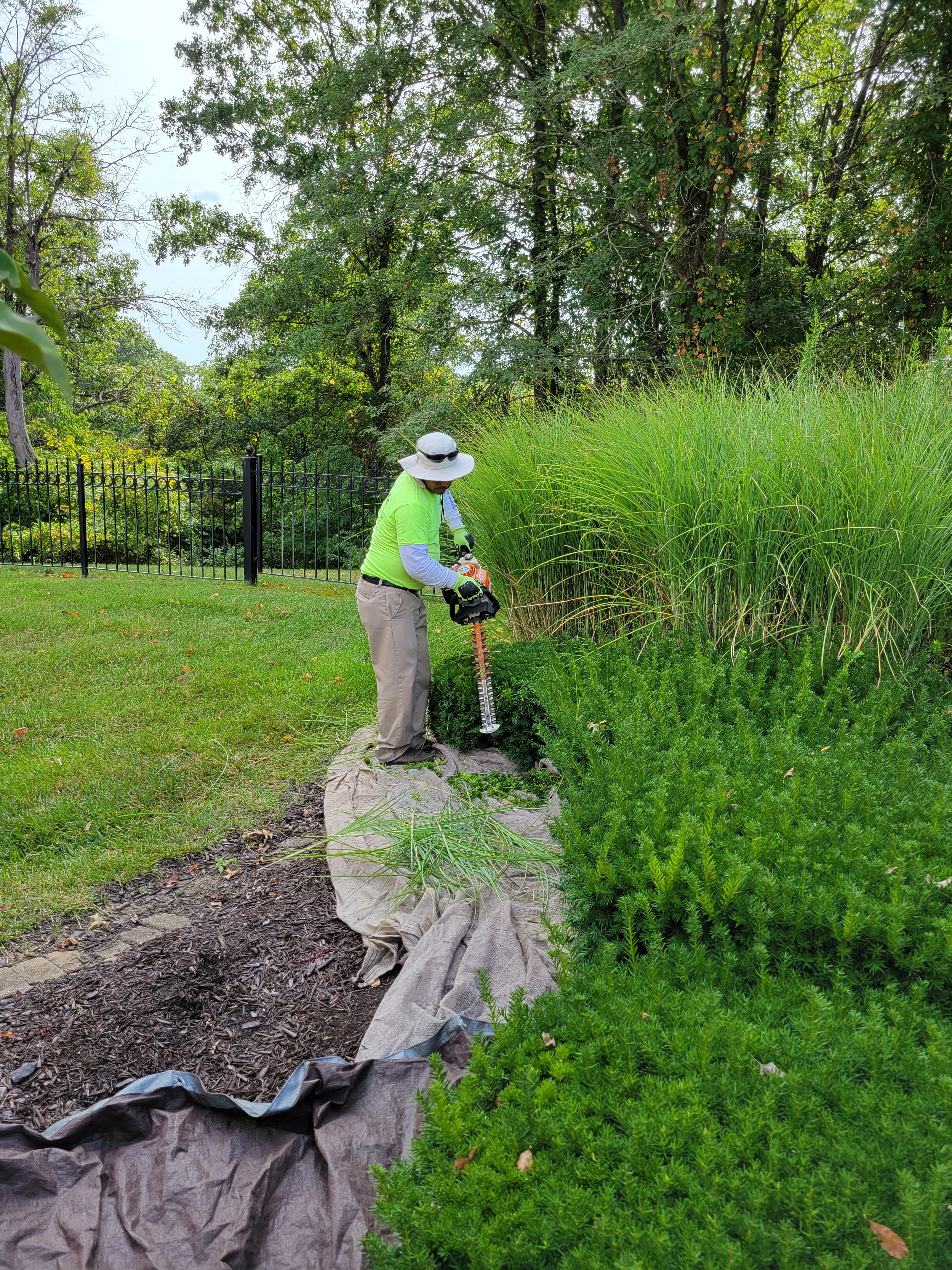  for Contemporary Landscape in St. Louis, MO