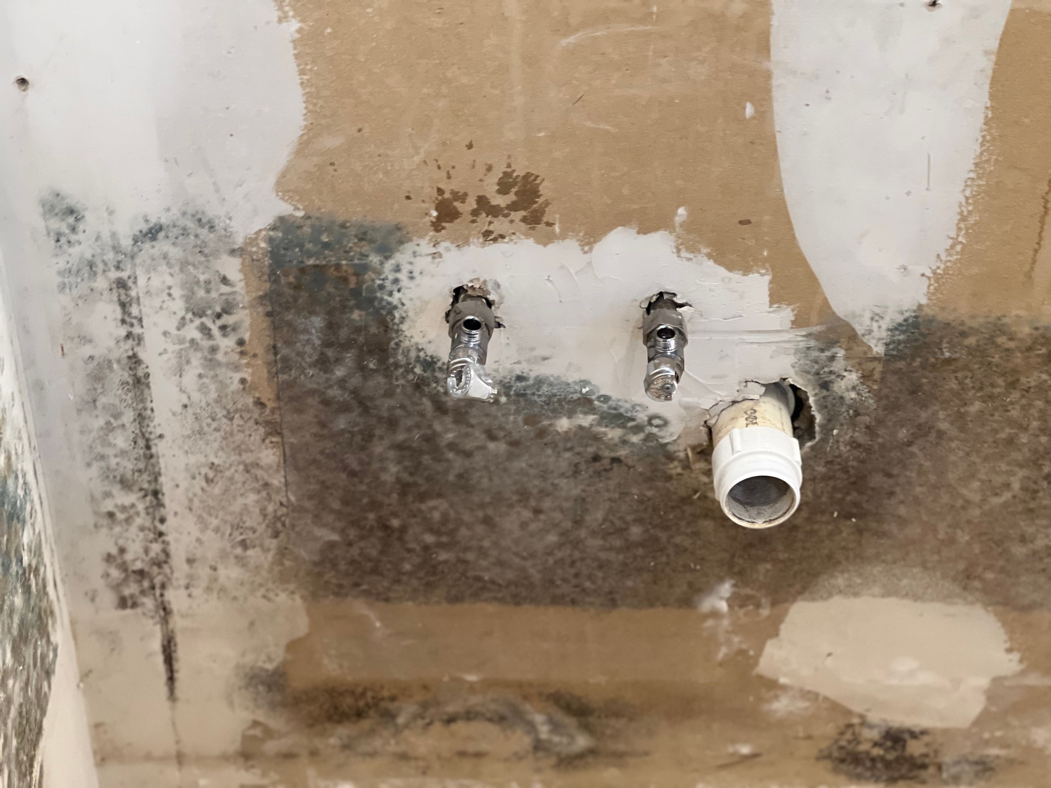  for N&D Restoration Services When Disaster Strikes, We Come In in Cape Coral,  FL