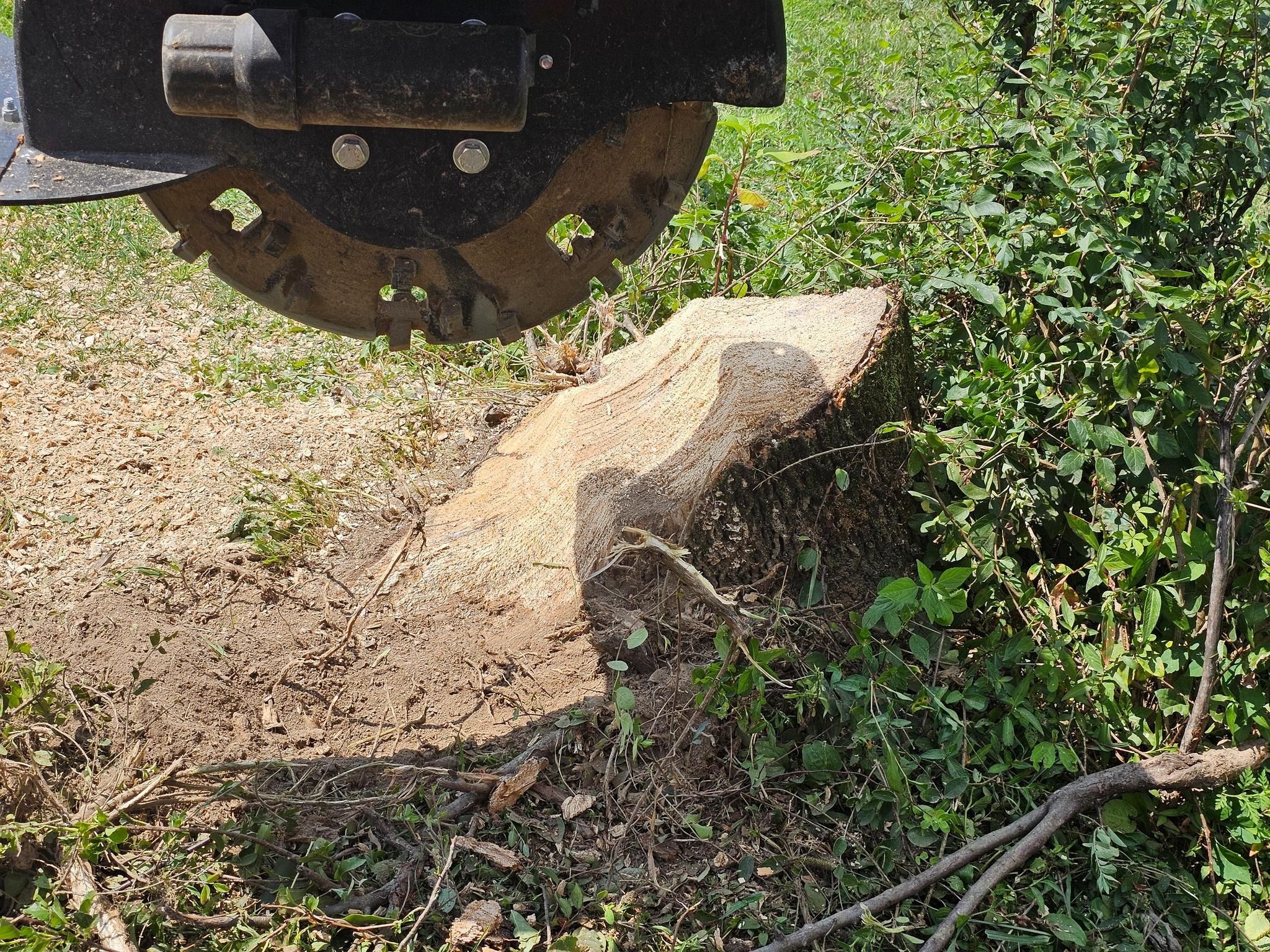  for I and R Stump Grinding in Thornville, OH