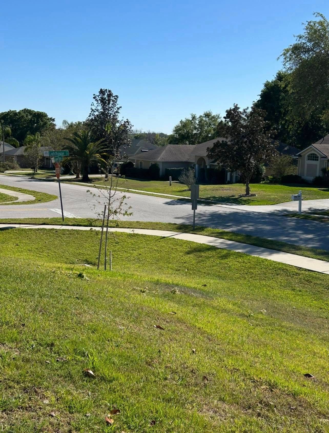 Tree Removal for A-1 Arbor Tech in Groveland, FL