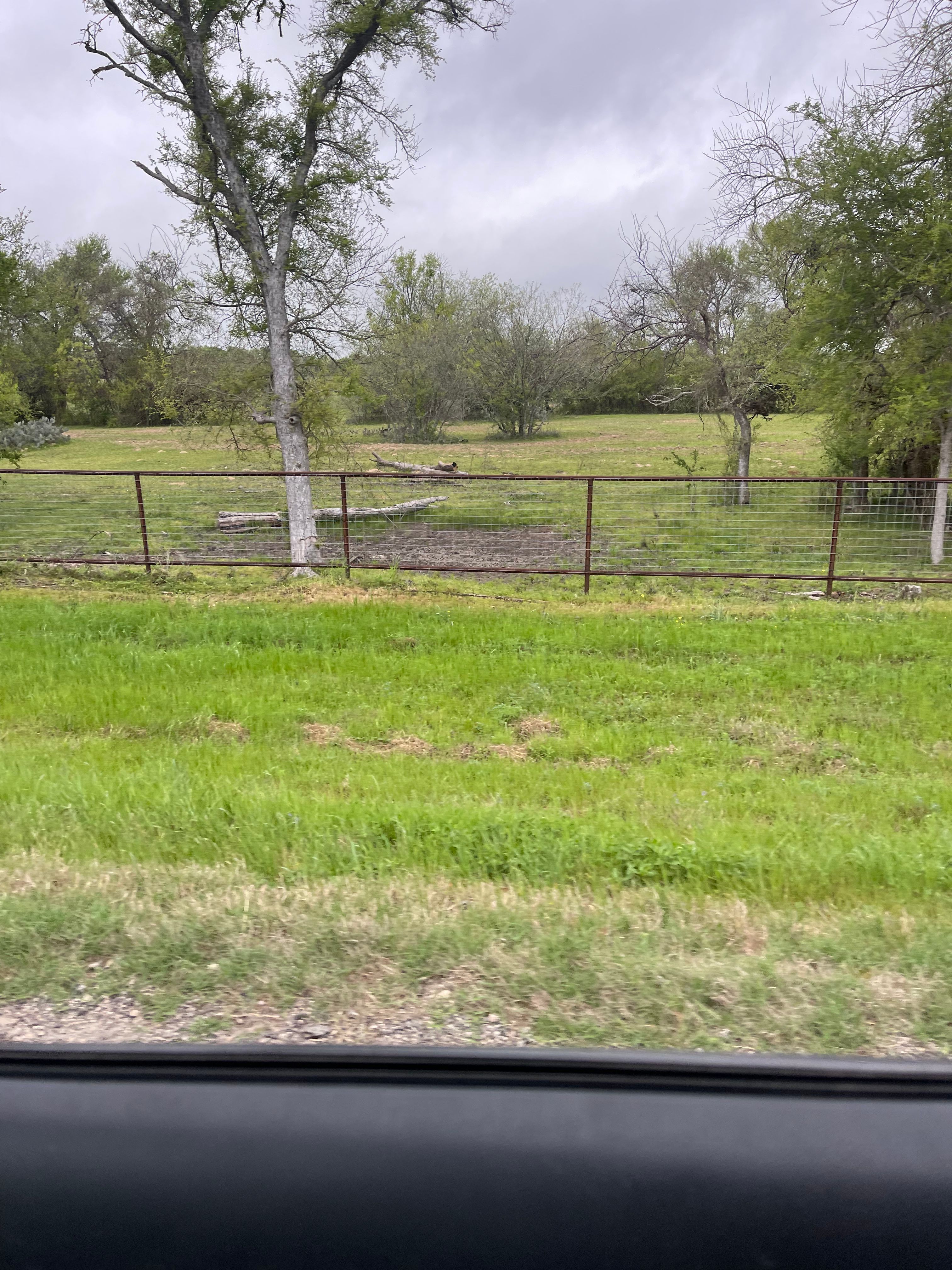  for United Concrete Construction L.L.C in San Marcos, TX