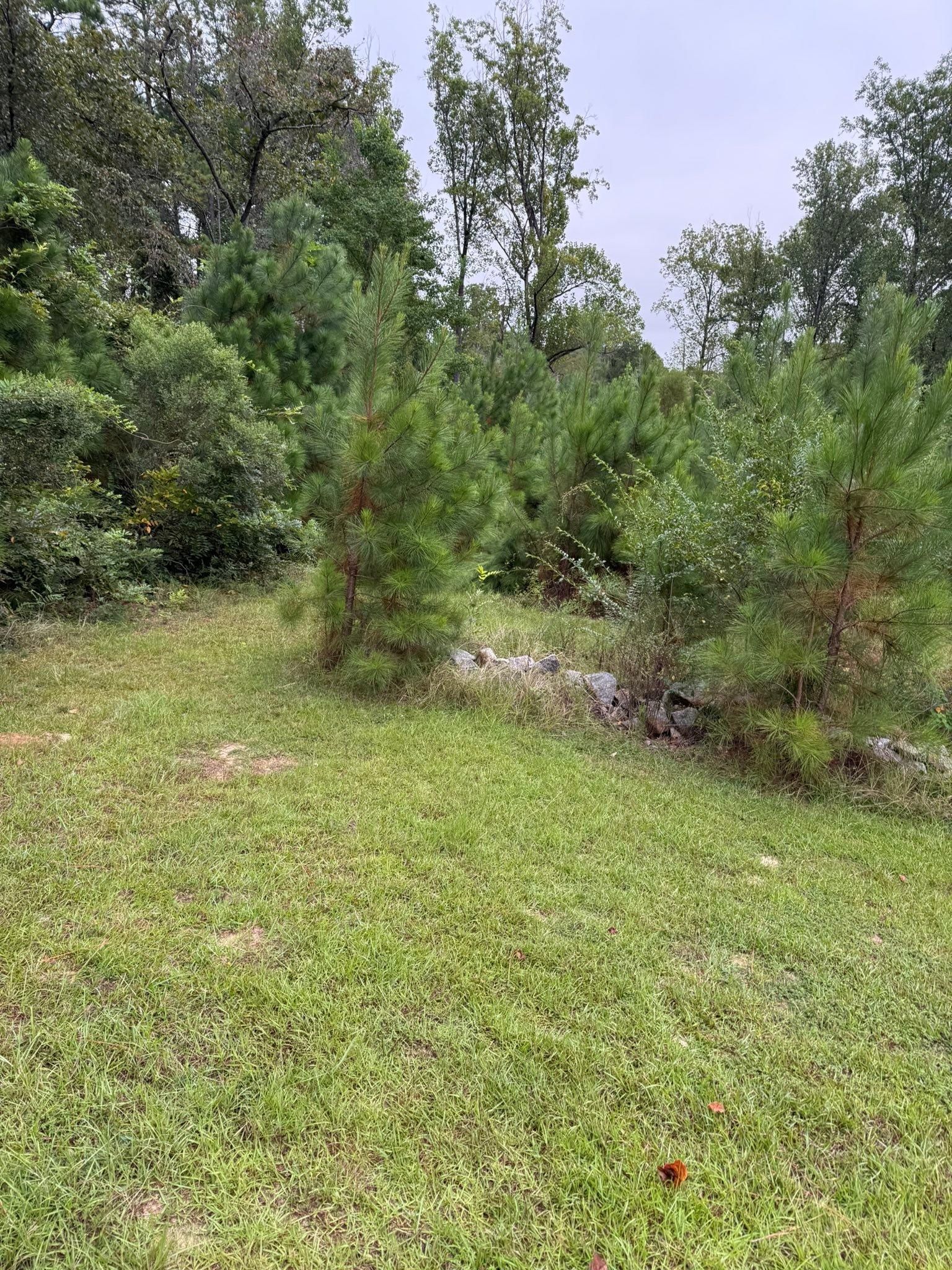  for SodGods Lawncare and Landscaping in Fayetteville , NC