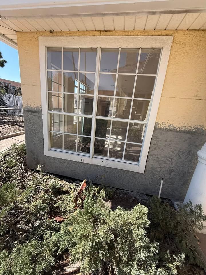  for Escorpio Painting in Tampa, FL