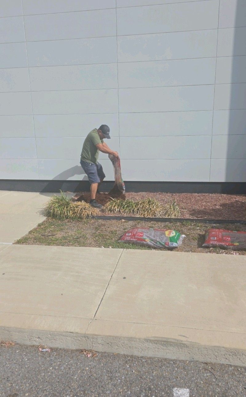  for Pro Lawn Care RGV in McAllen, TX