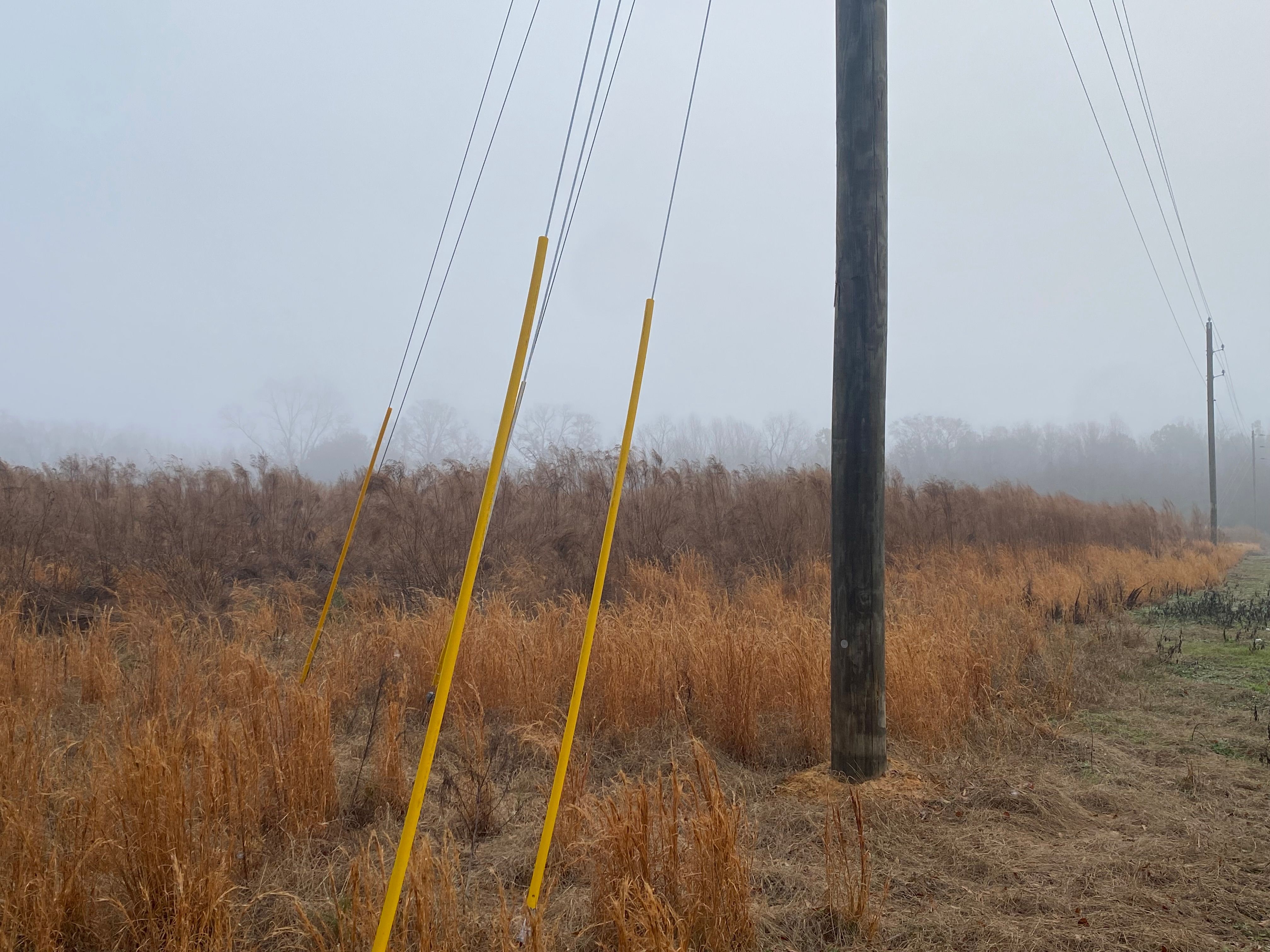  for T&S Land Management Services in Effingham County, GA