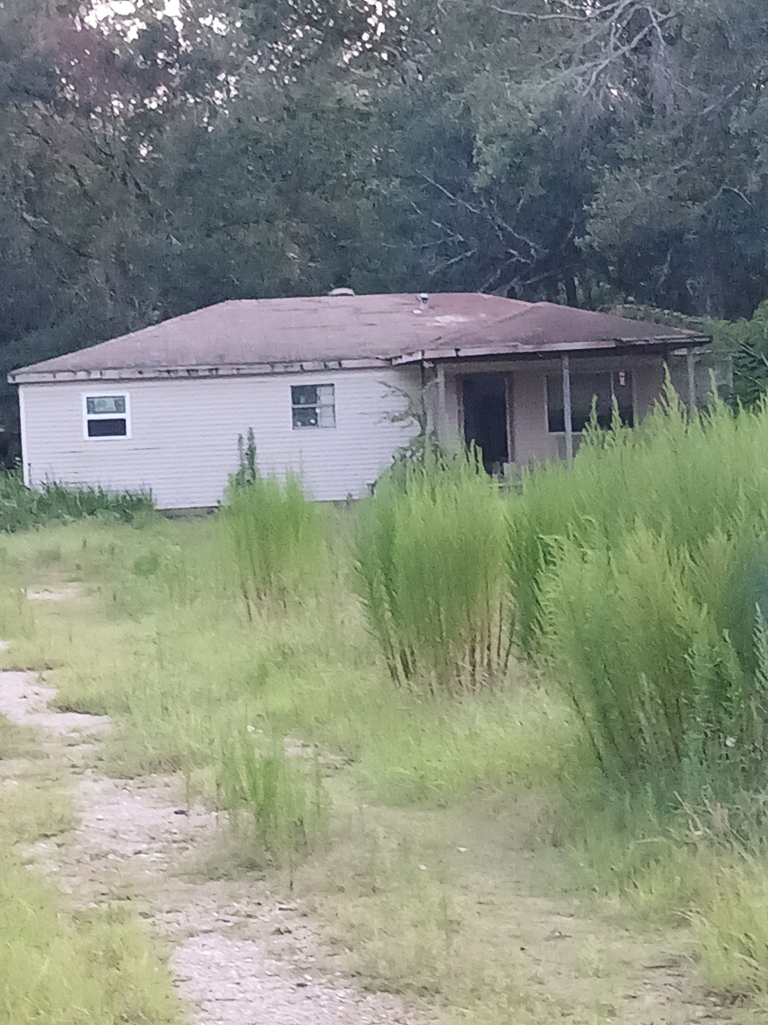 All Photos for Exclusive Demolition & Tree Service in Houston, TX