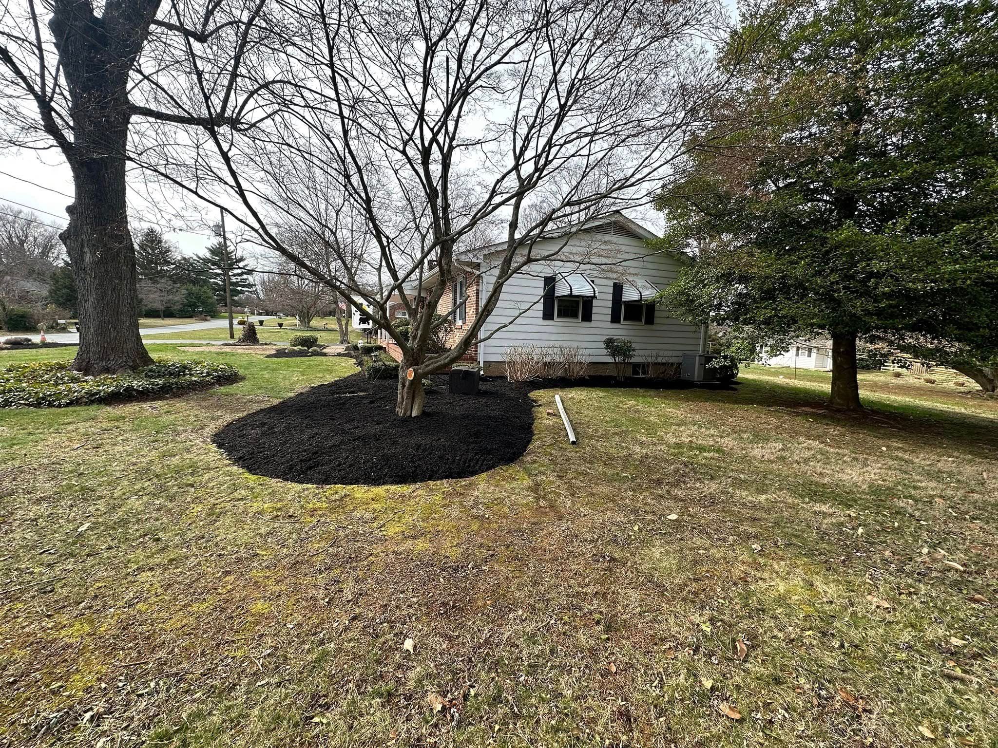Lawn Care for A Better Lawn Service LLC in Bel Air, MD
