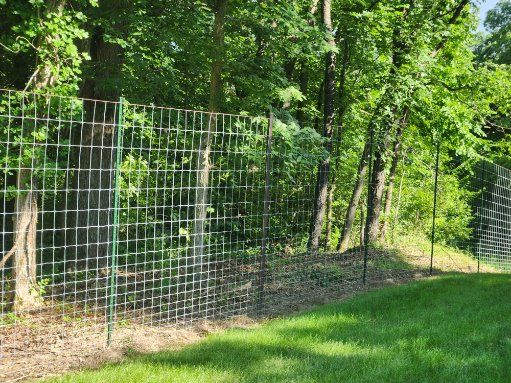  for Lawn Ranger Yard And Tree Service LLC in Ottumwa, IA