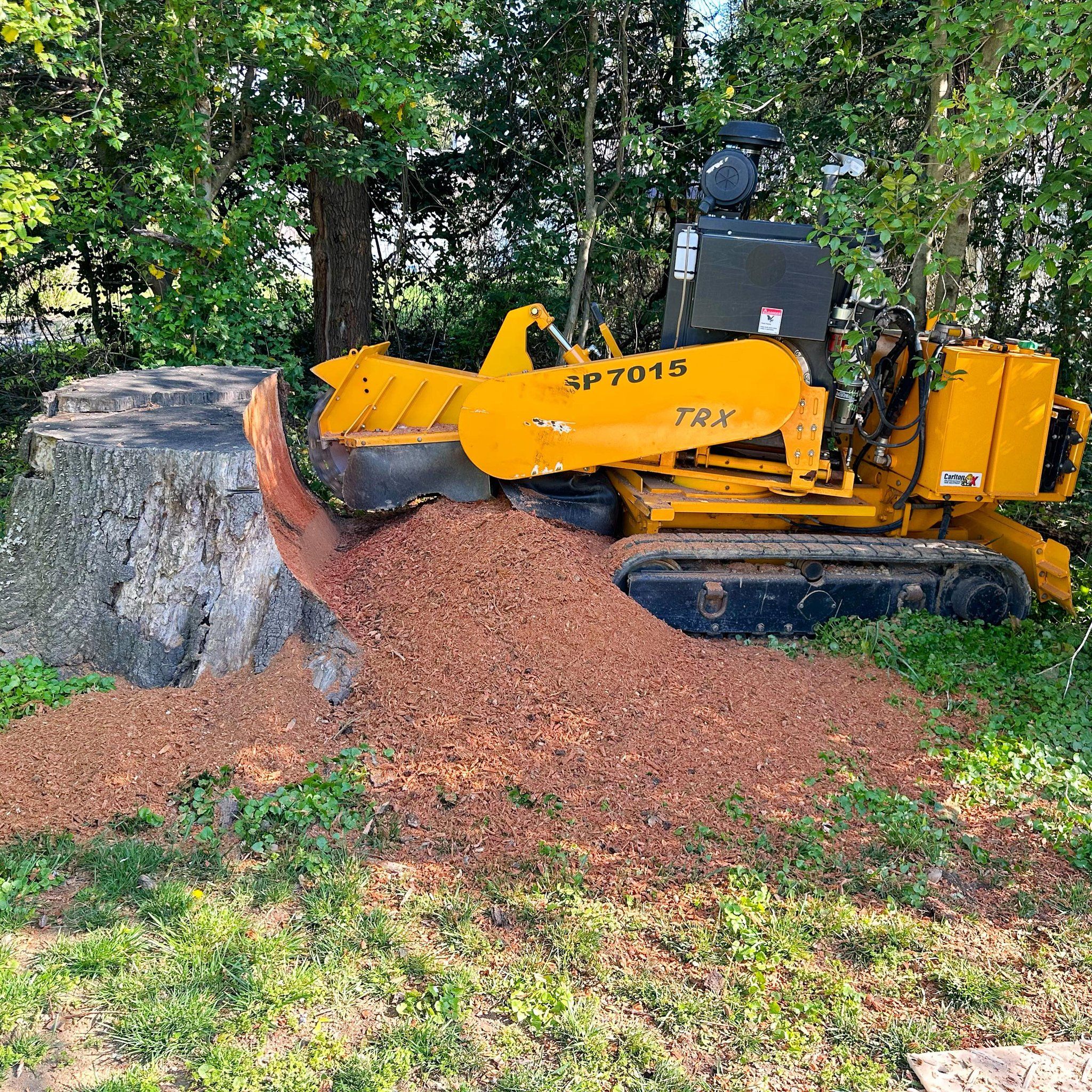 All Photos for J&K Stump Grinding in Detroit, MI