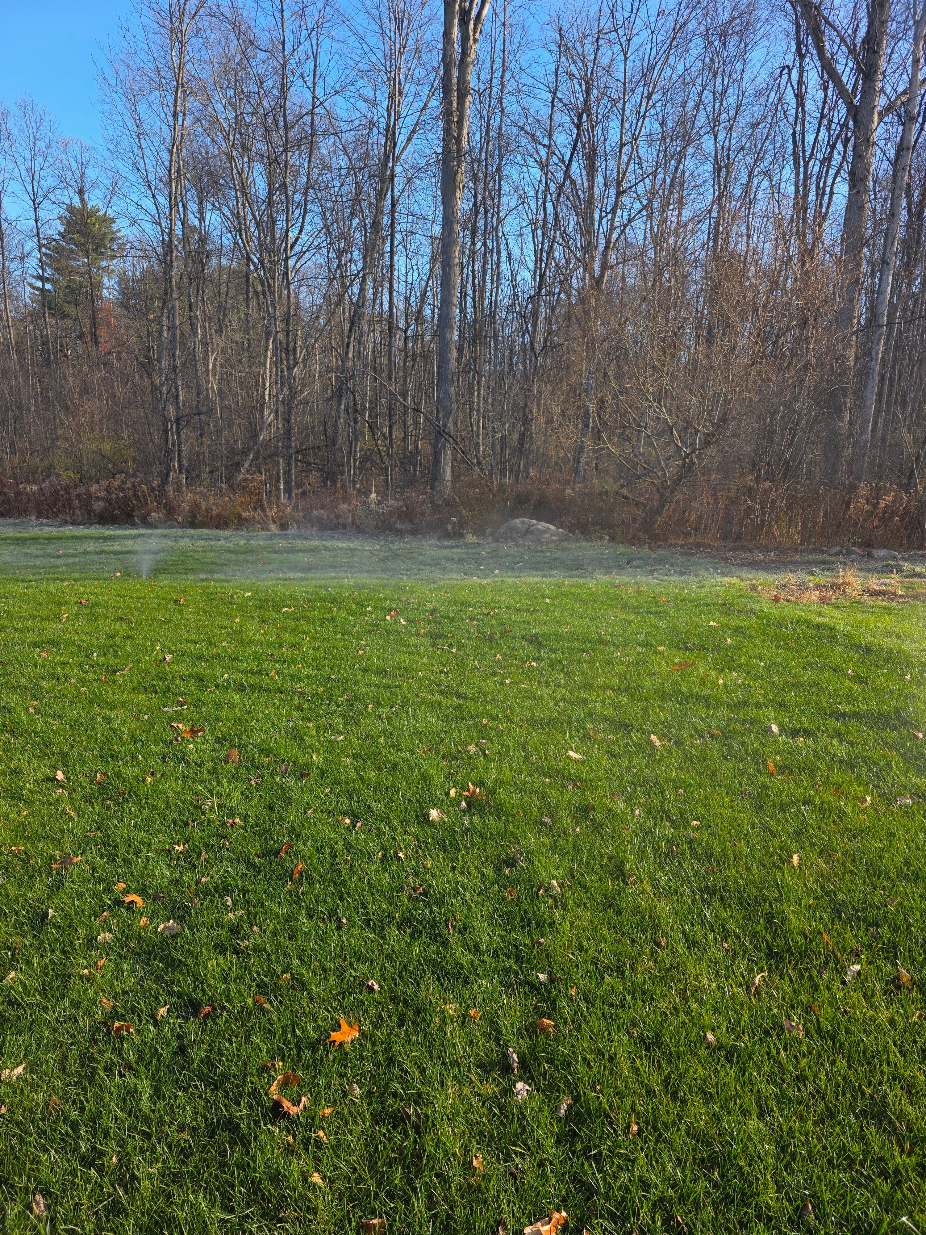  for Sweet Scapes in Ballston Spa, NY