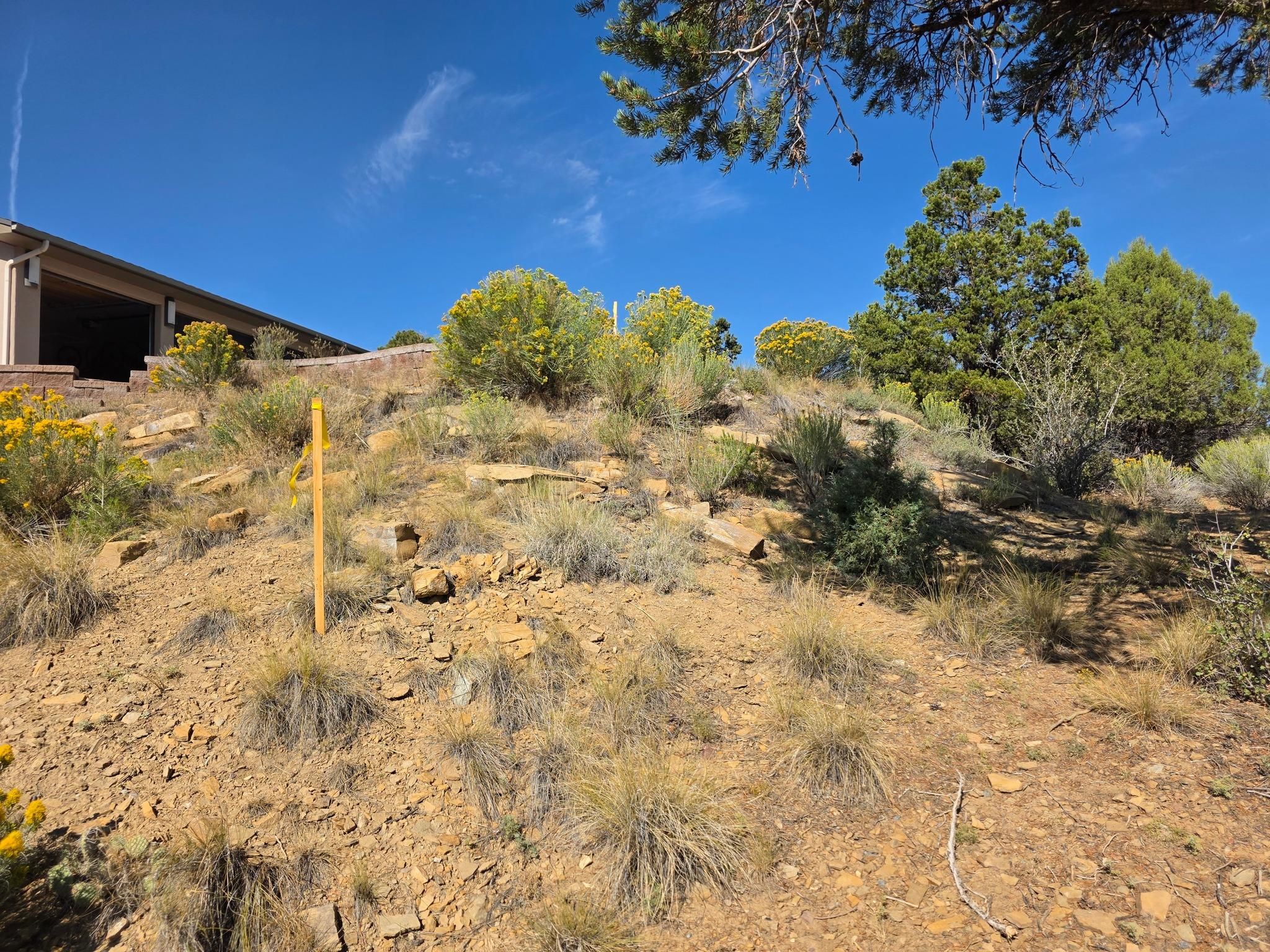 All Photos for Double A Home & Lawn Services in Montrose, CO