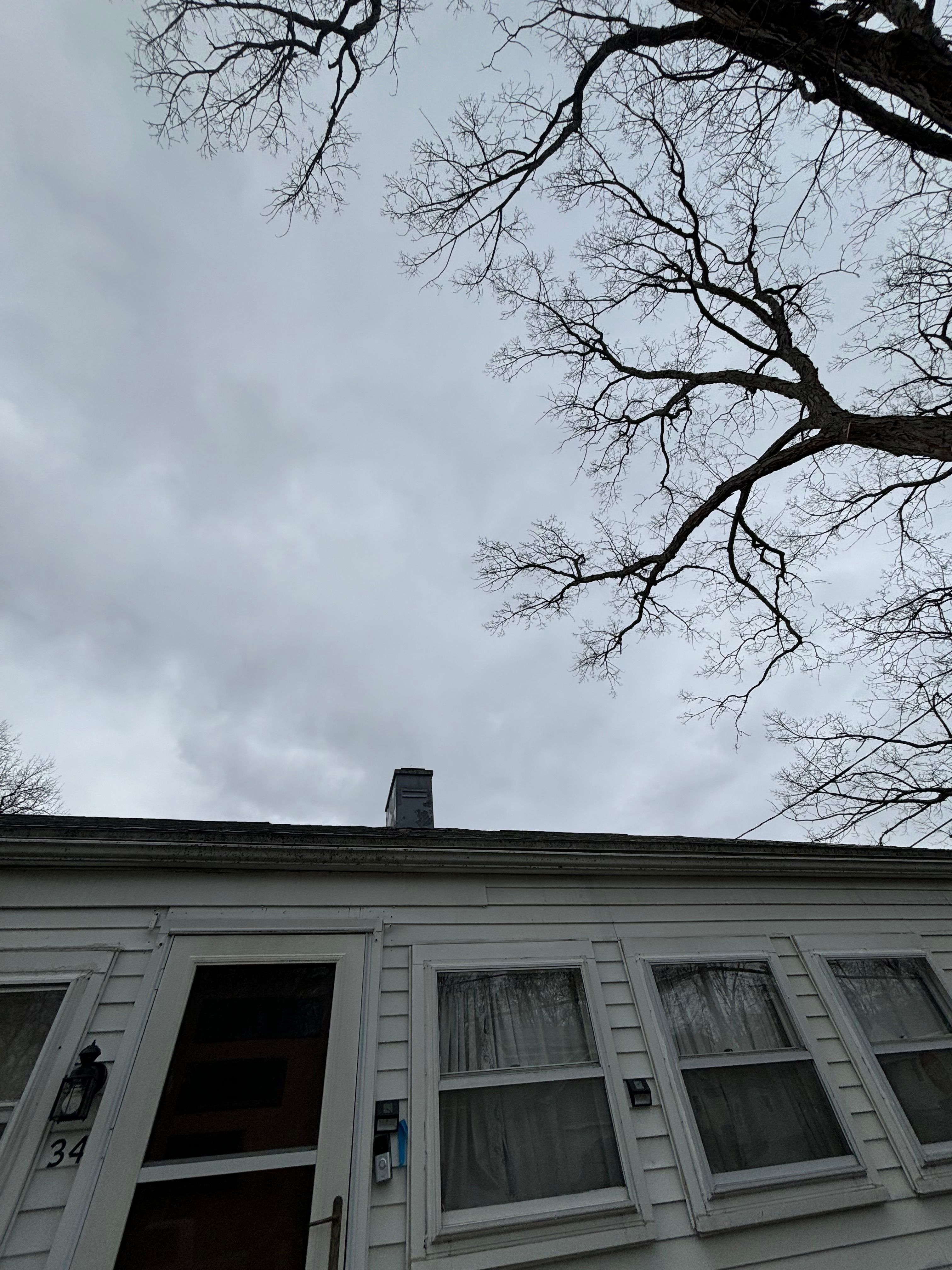  for T's Trees in Albany, NY