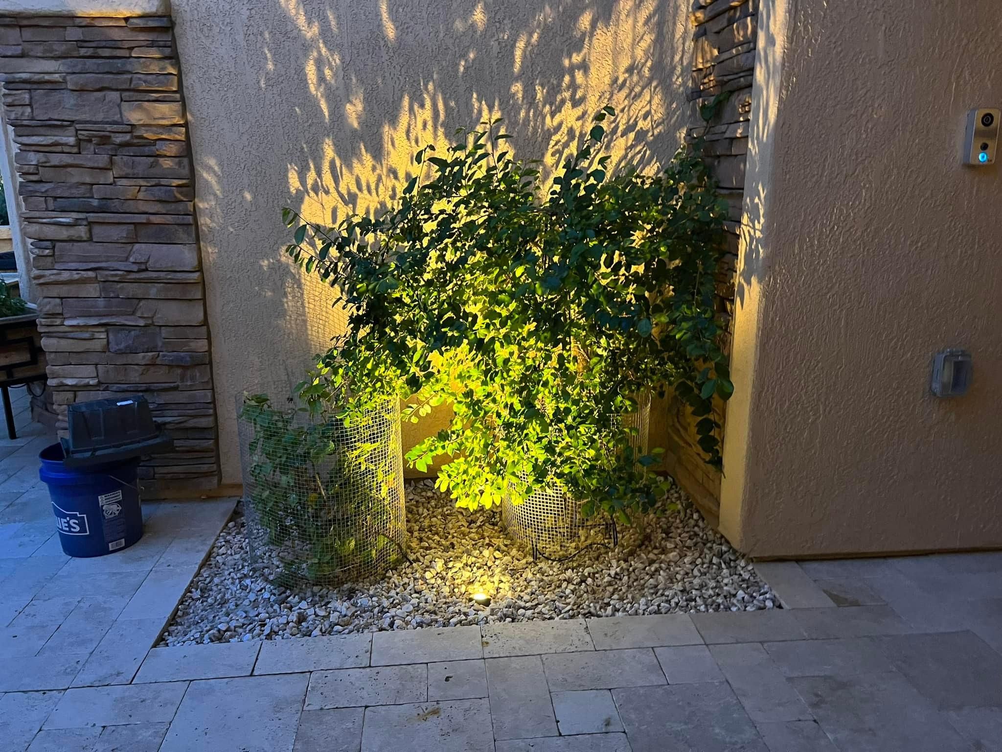 All Photos for Atmospheric Irrigation and Lighting  in Sun City, Arizona