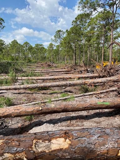  for South Florida Earthworks in Fort Pierce, FL