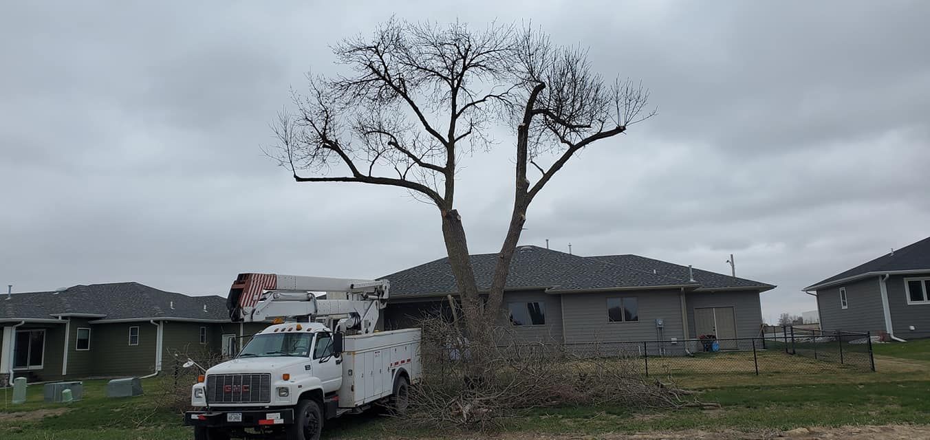  for Uprooted LLC in Norfolk, NE