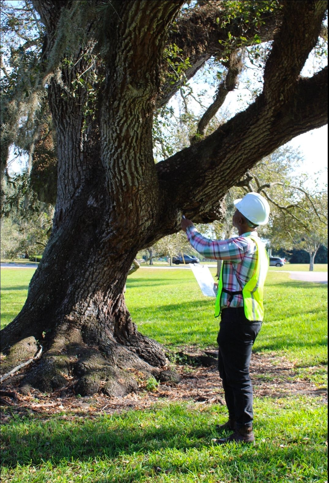  for Bridgewater Arbor Care LLC in Jupiter, FL