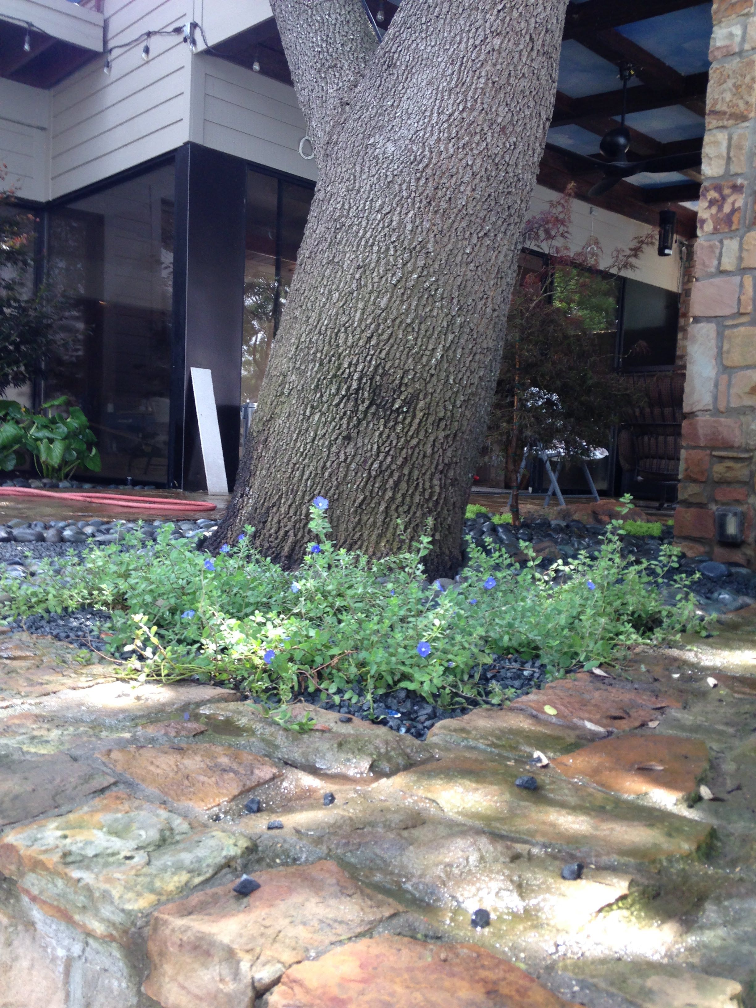 All Photos for Atlas Land Design in Creekside Park, TX