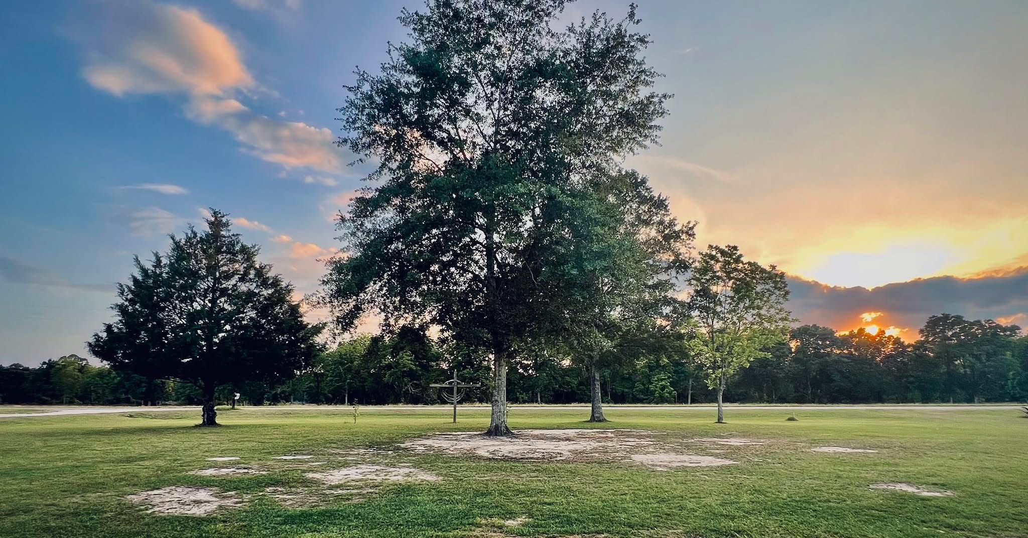  for Joseys Lawn and Tree Care in Chipley, FL