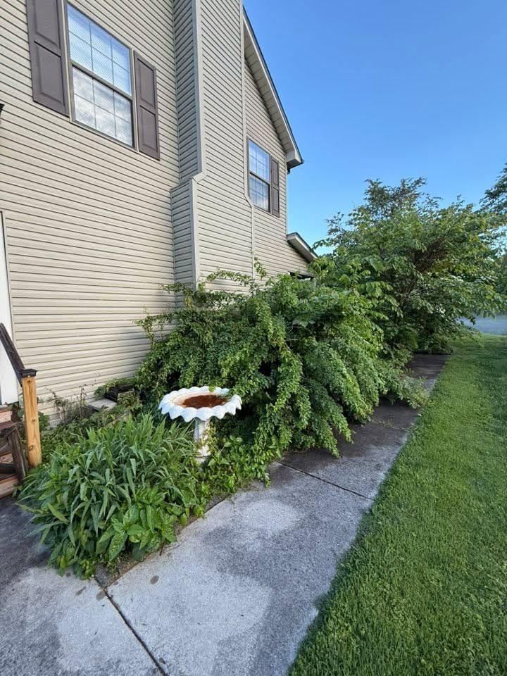  for Wesleys Landscaping in Clinton, TN