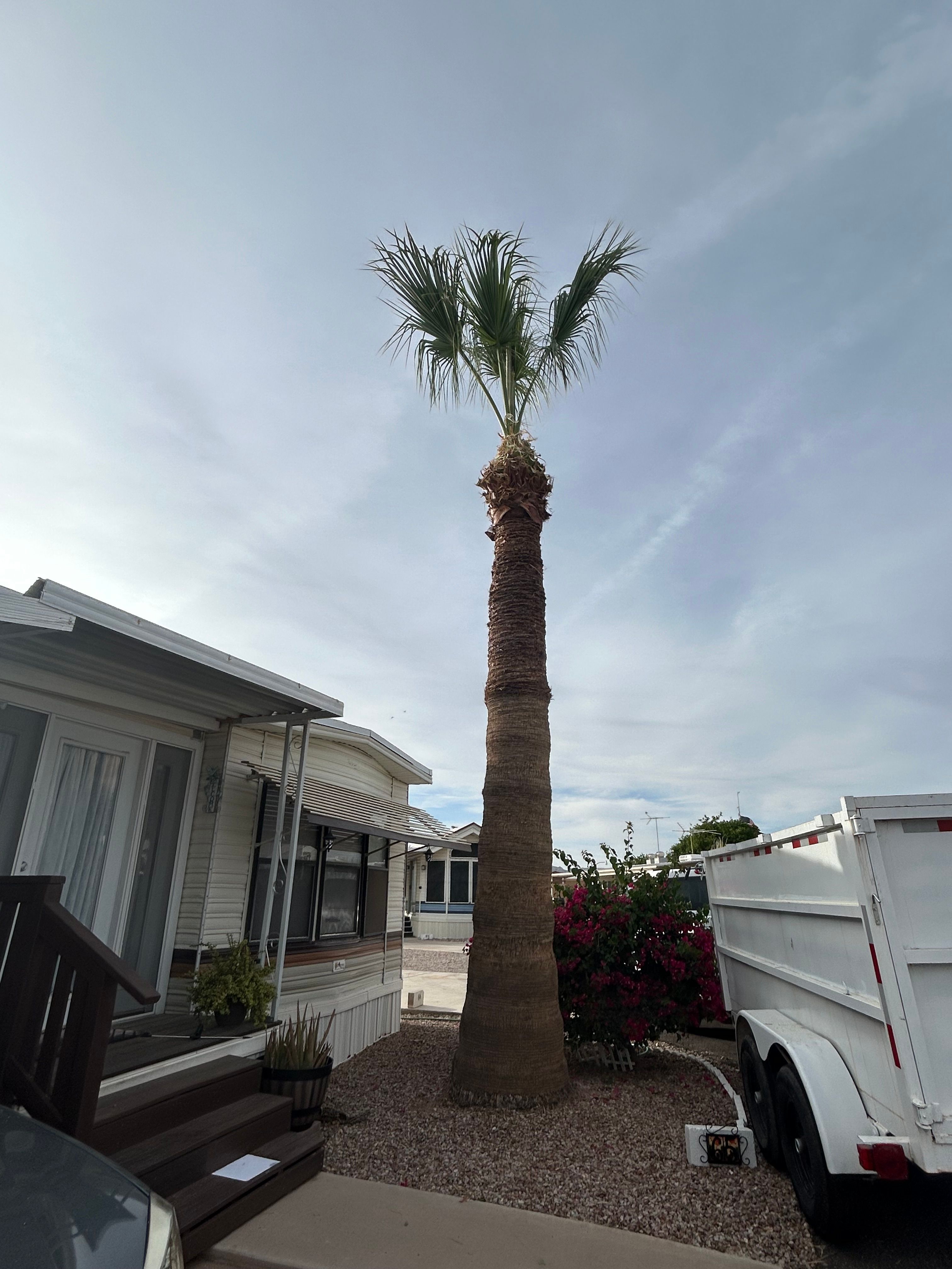  for Copperhead Solution in Phoenix, Arizona