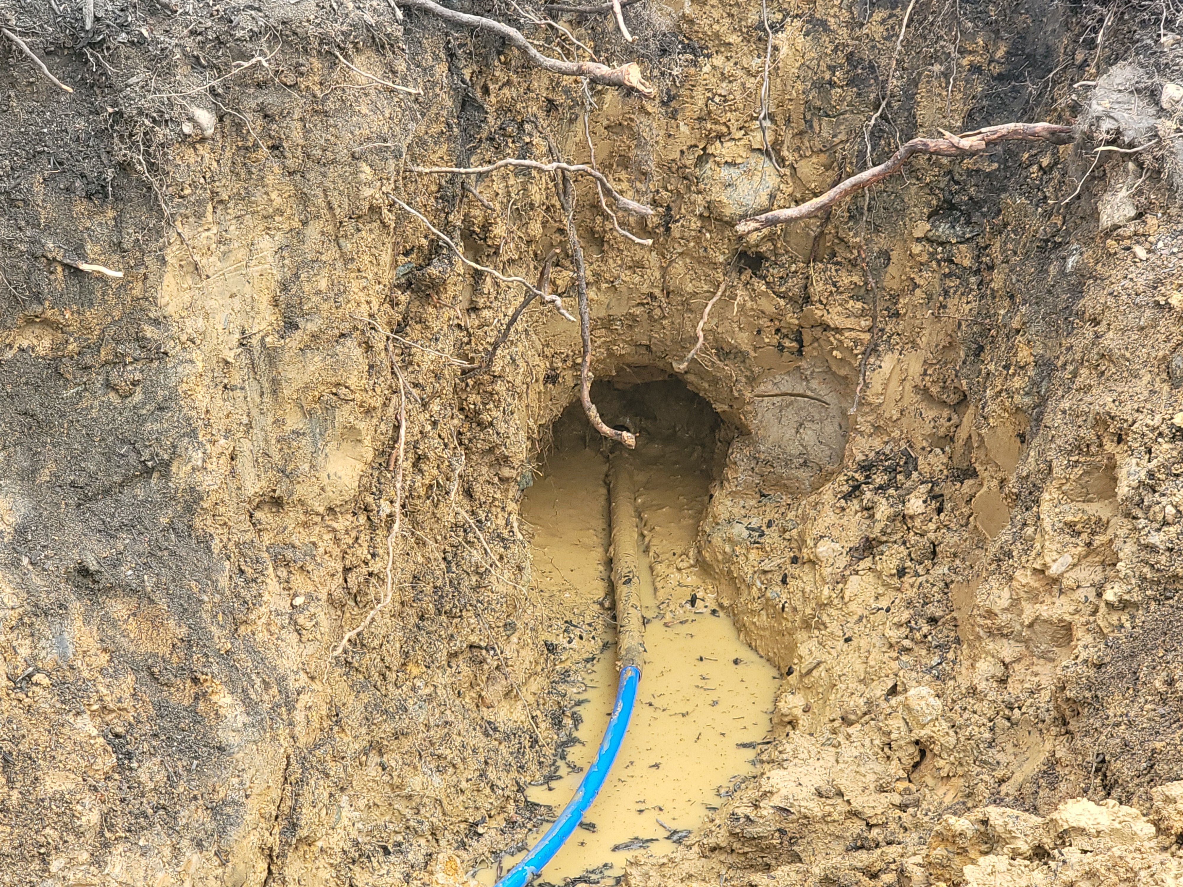 All Photos for Goodfellas Plumbing llc in Spotsylvania, VA