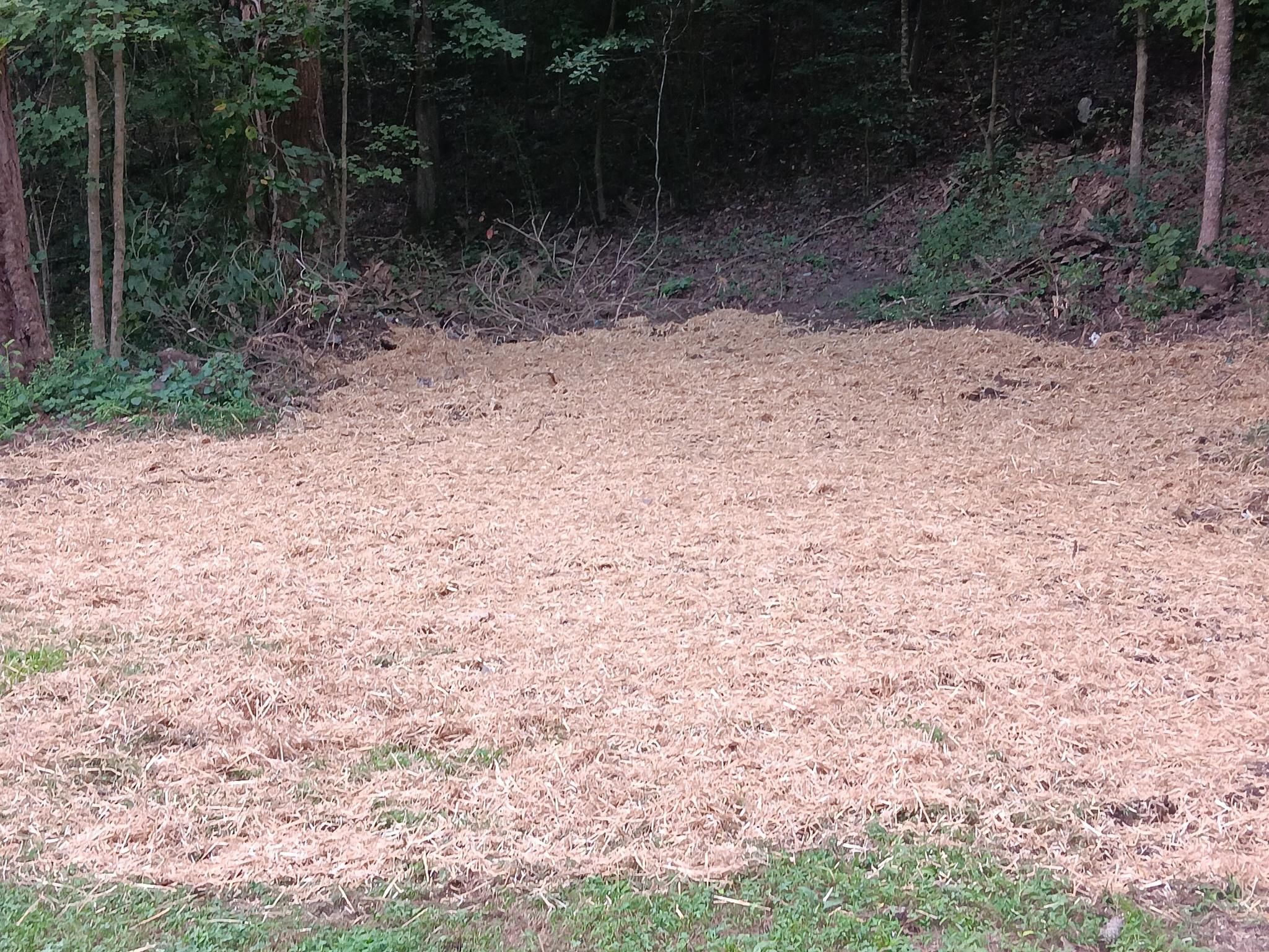 All Photos for Forrest Plumbing and Septic Service LLC in Summerville, GA