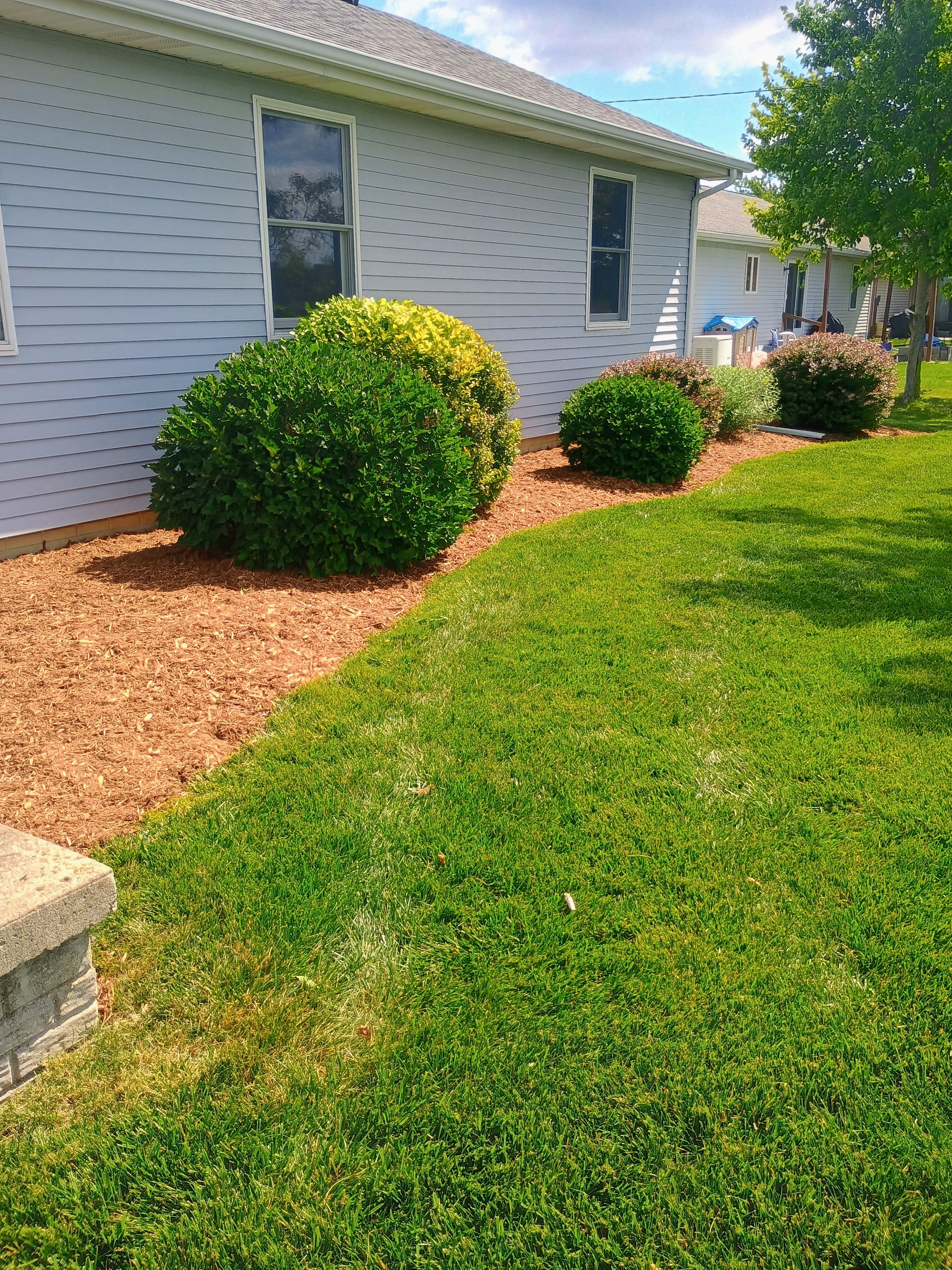  for R&M Lawn Control in Defiance, OH