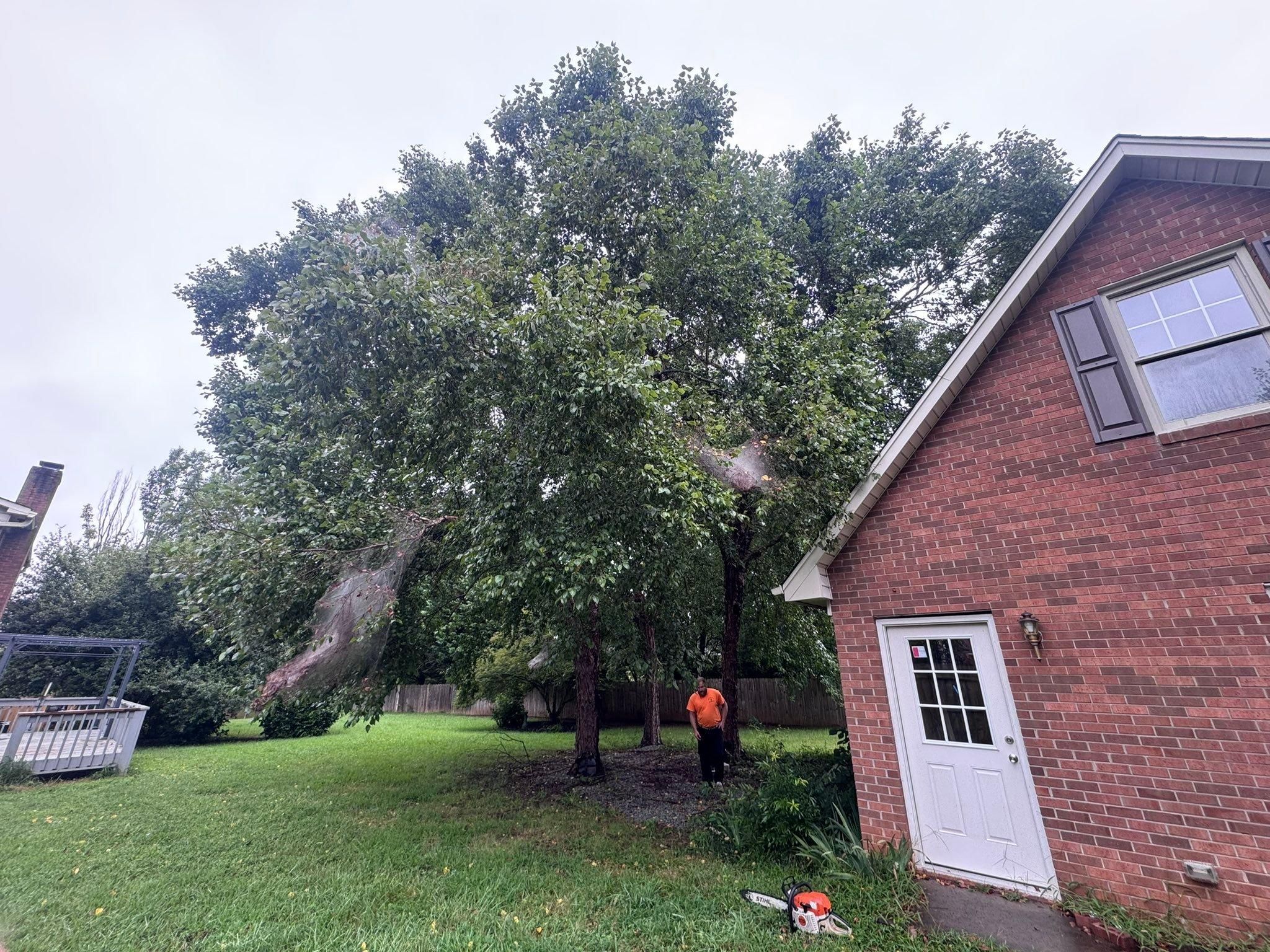  for Diversified Tree Company in Trinity, NC