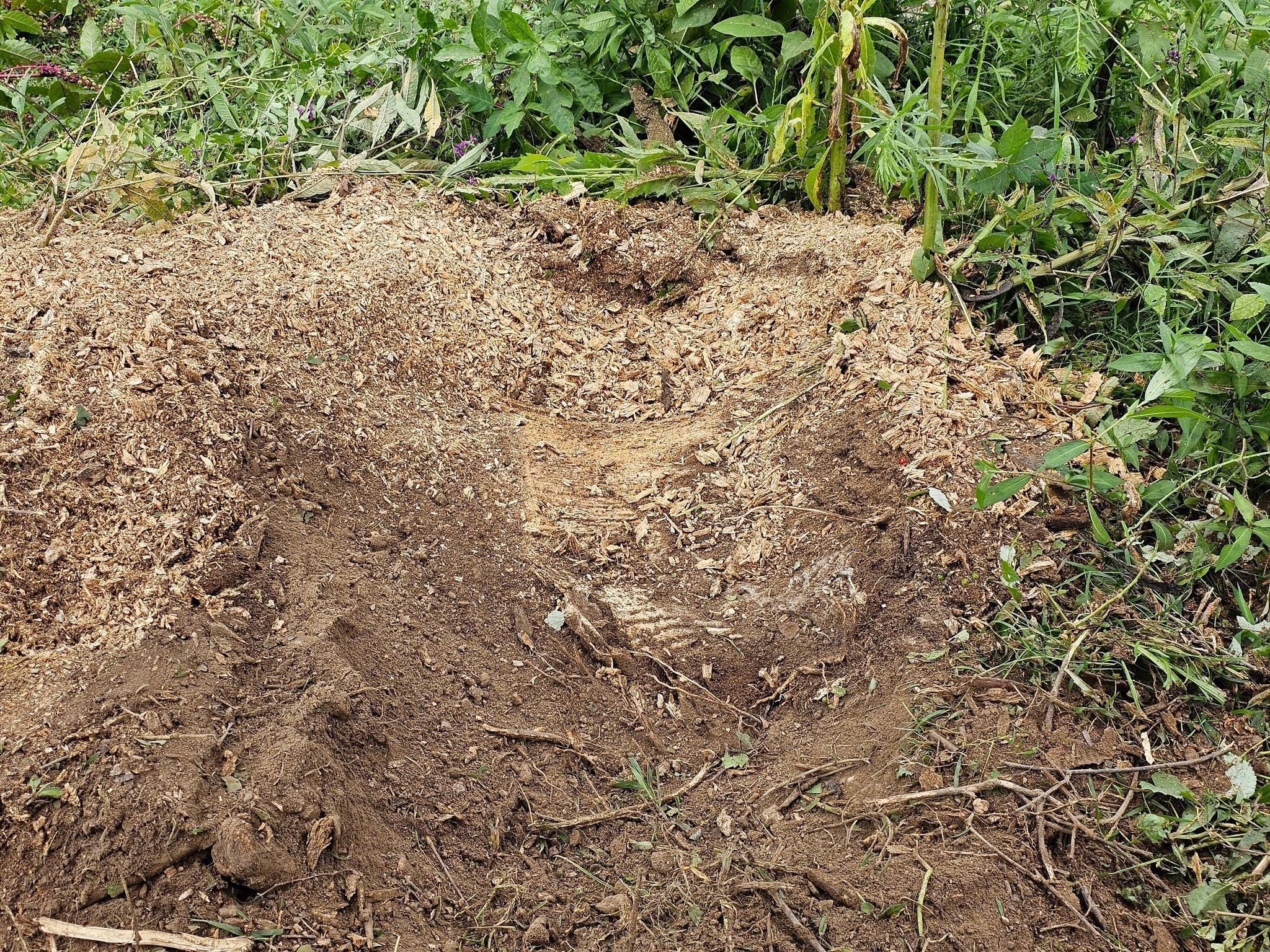  for I and R Stump Grinding in Thornville, OH