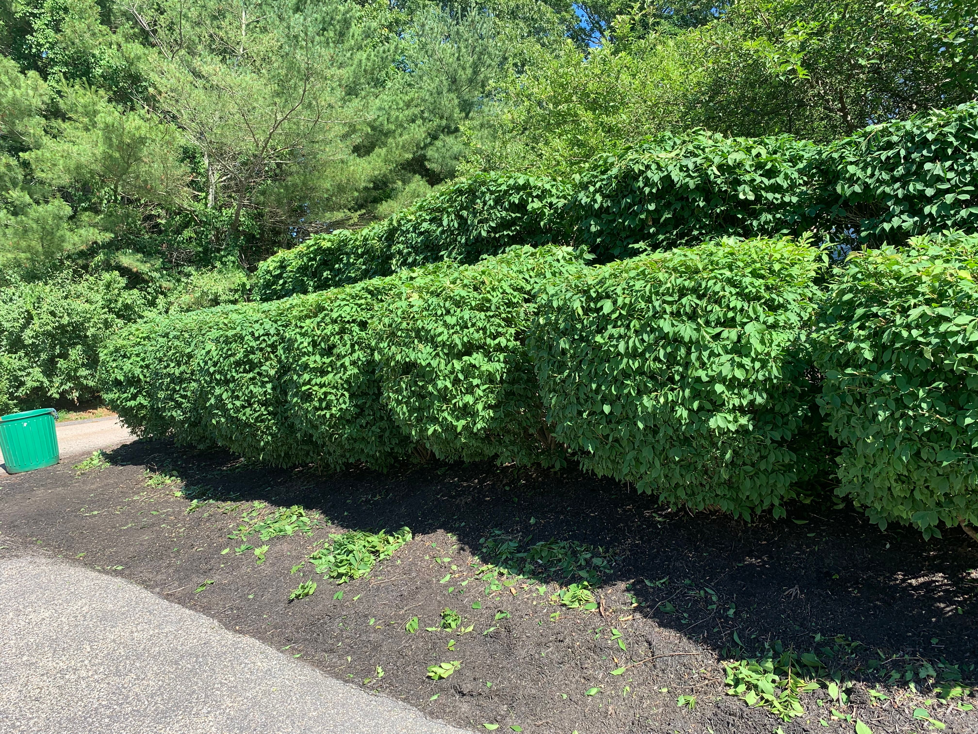  for Murray Mowing and More in Ashaway, RI