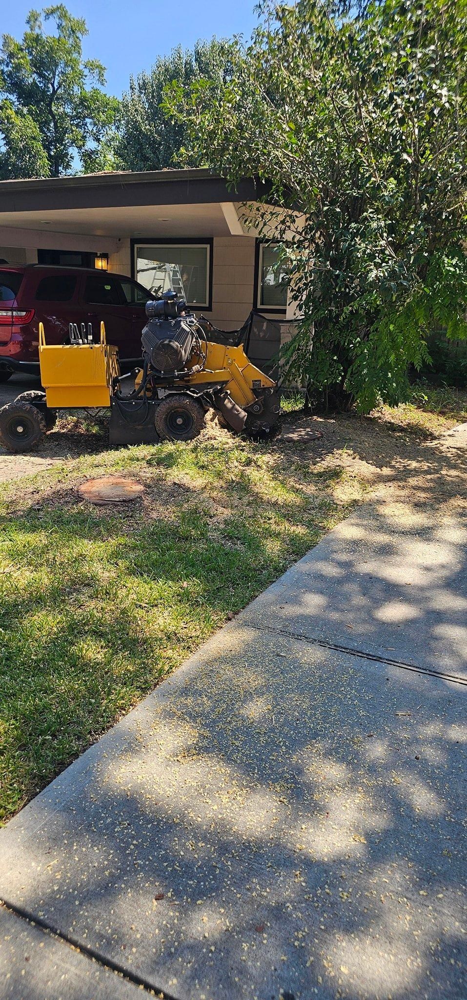  for Servin's Tree Care  in Houston, TX
