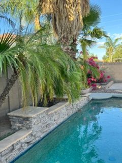  for Patriot Tree Service in Mesa, AZ