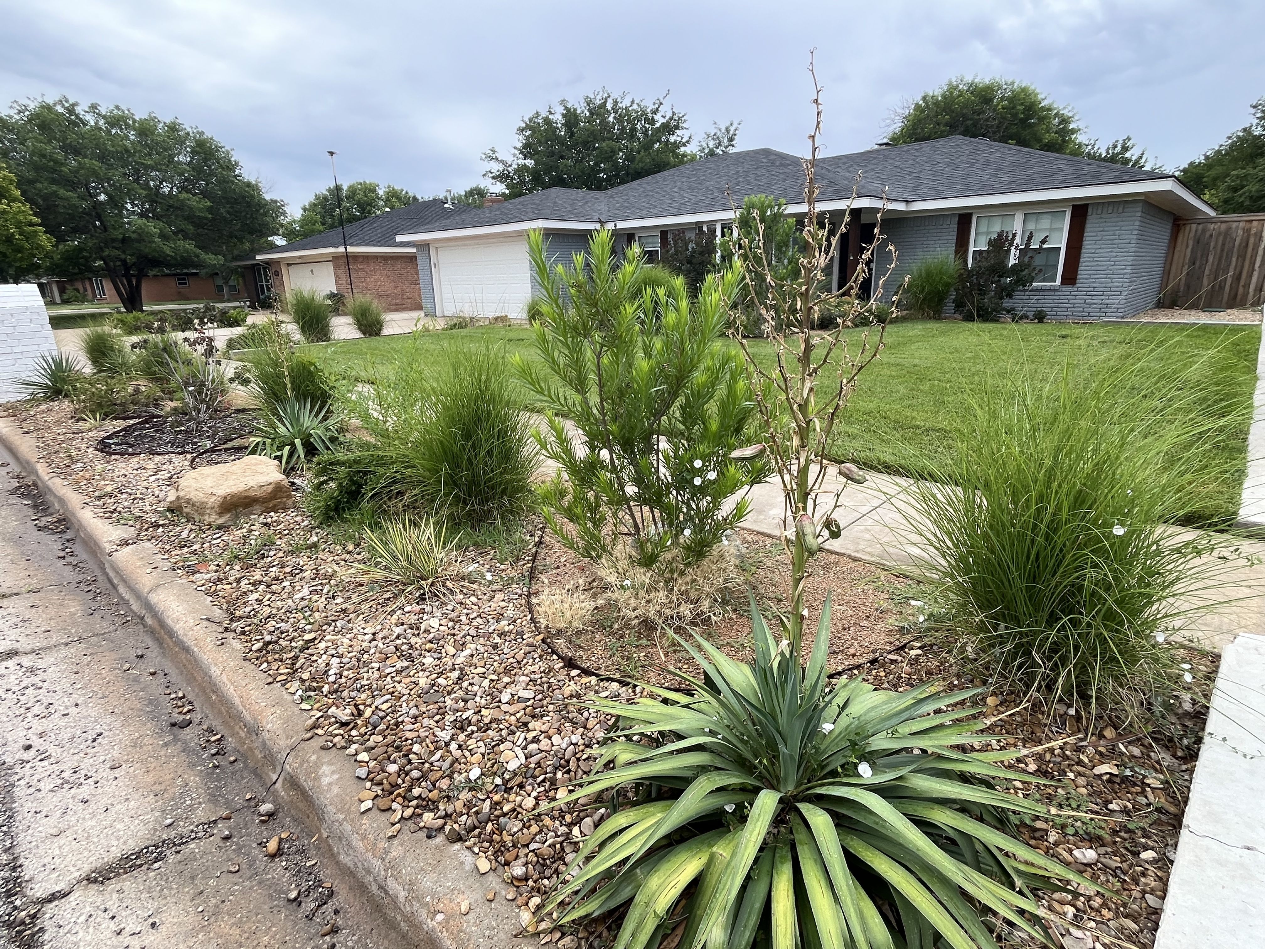  for Cole Landscaping & Pools, LLC in Amarillo, TX