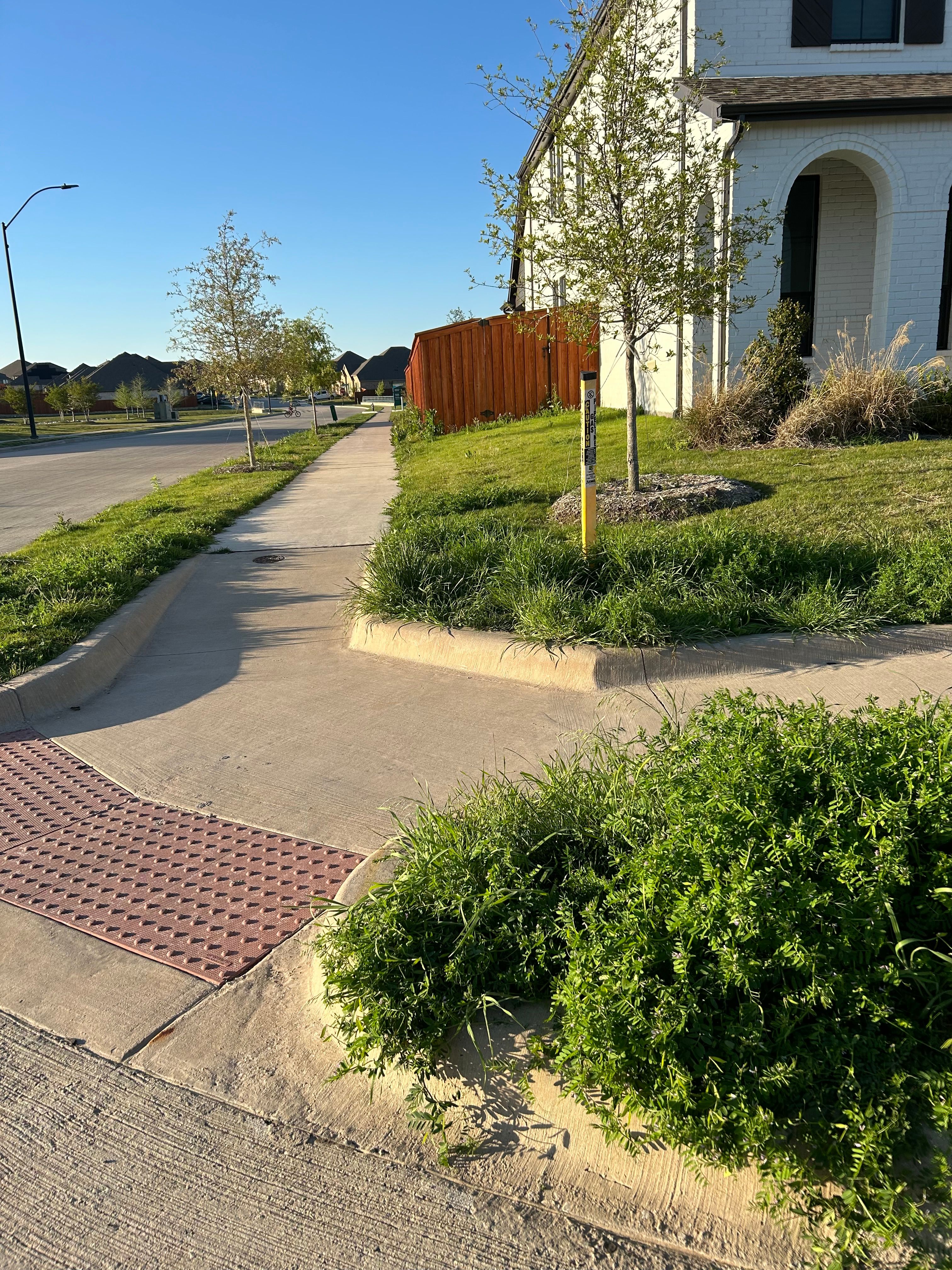  for Magnolia Landscape & Design in Aledo, TX